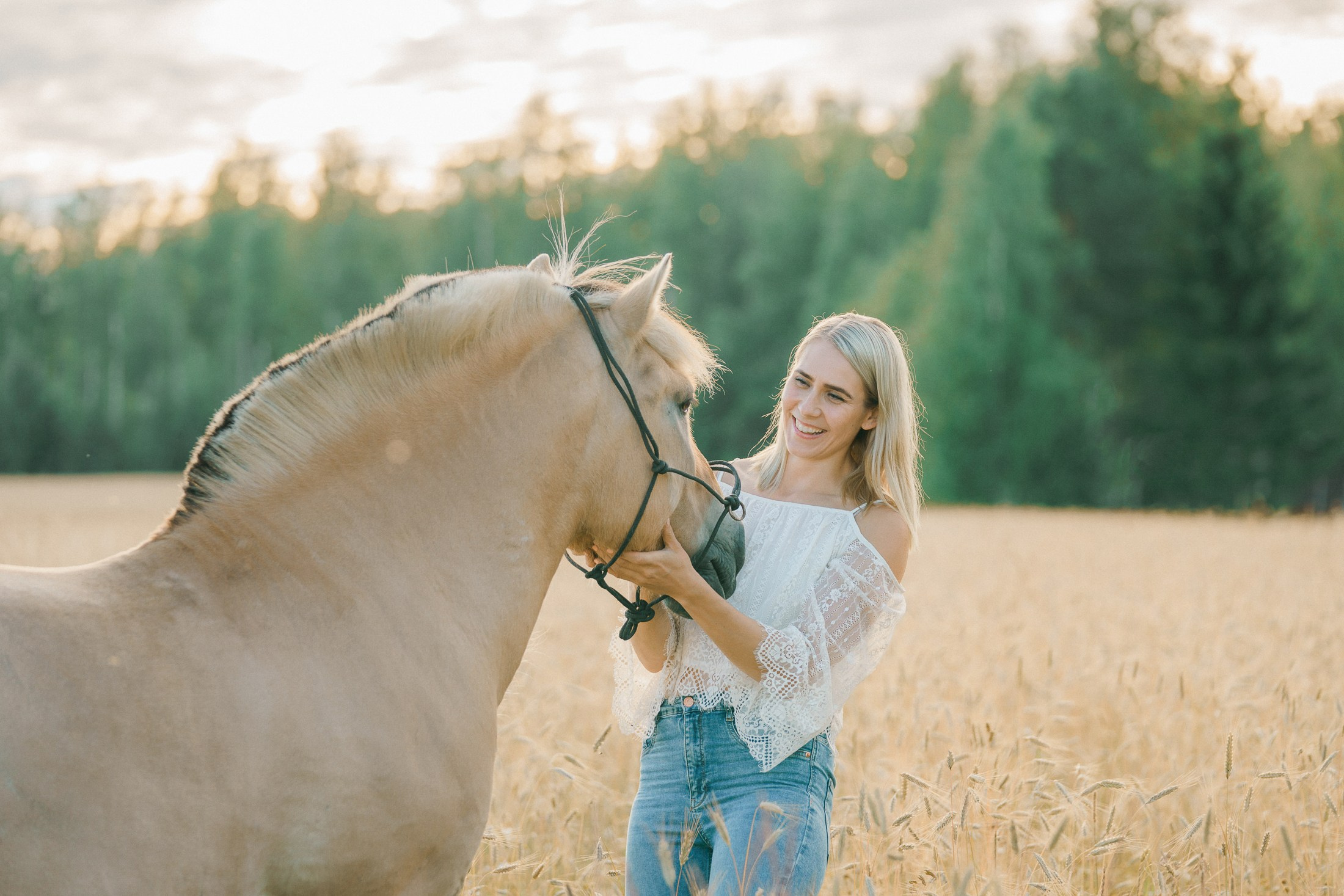 Koirien, kissojen, hevostenkuvaus