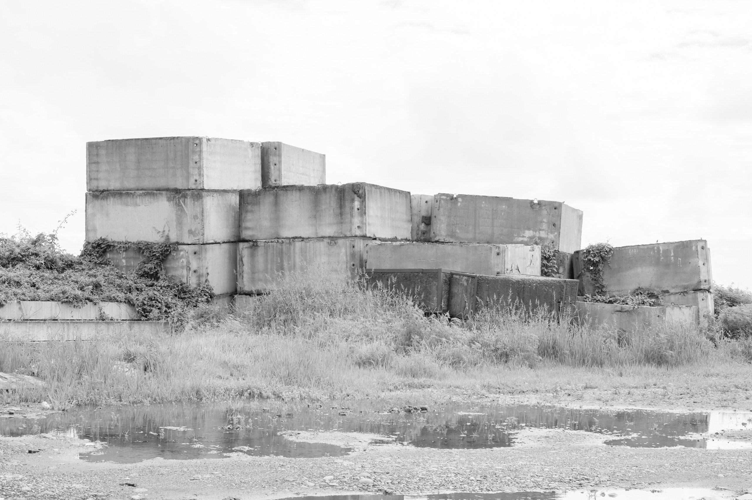 Under the Phasis' Sun. Mayya Kelova artist