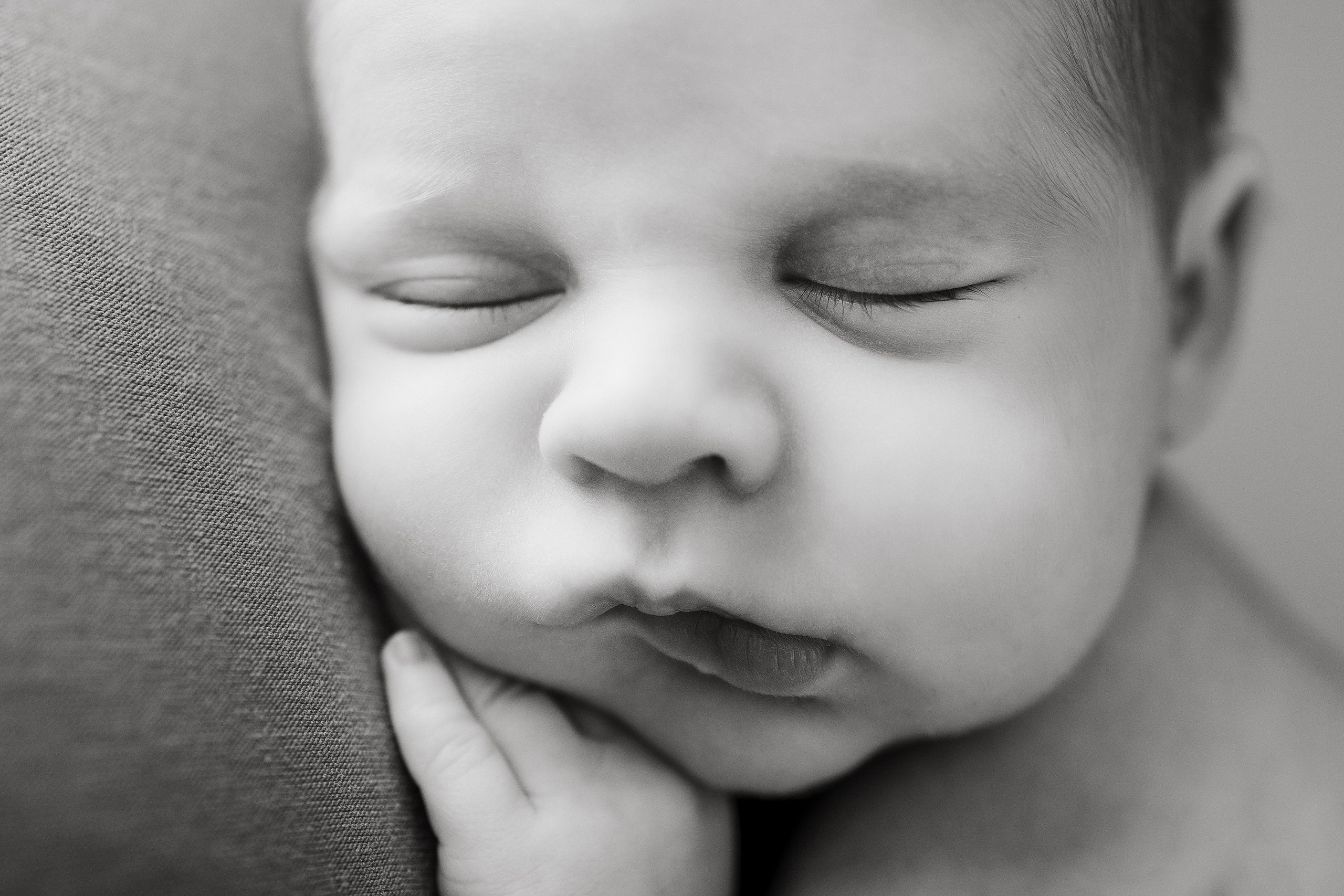 Leo, Mis Primeros Días