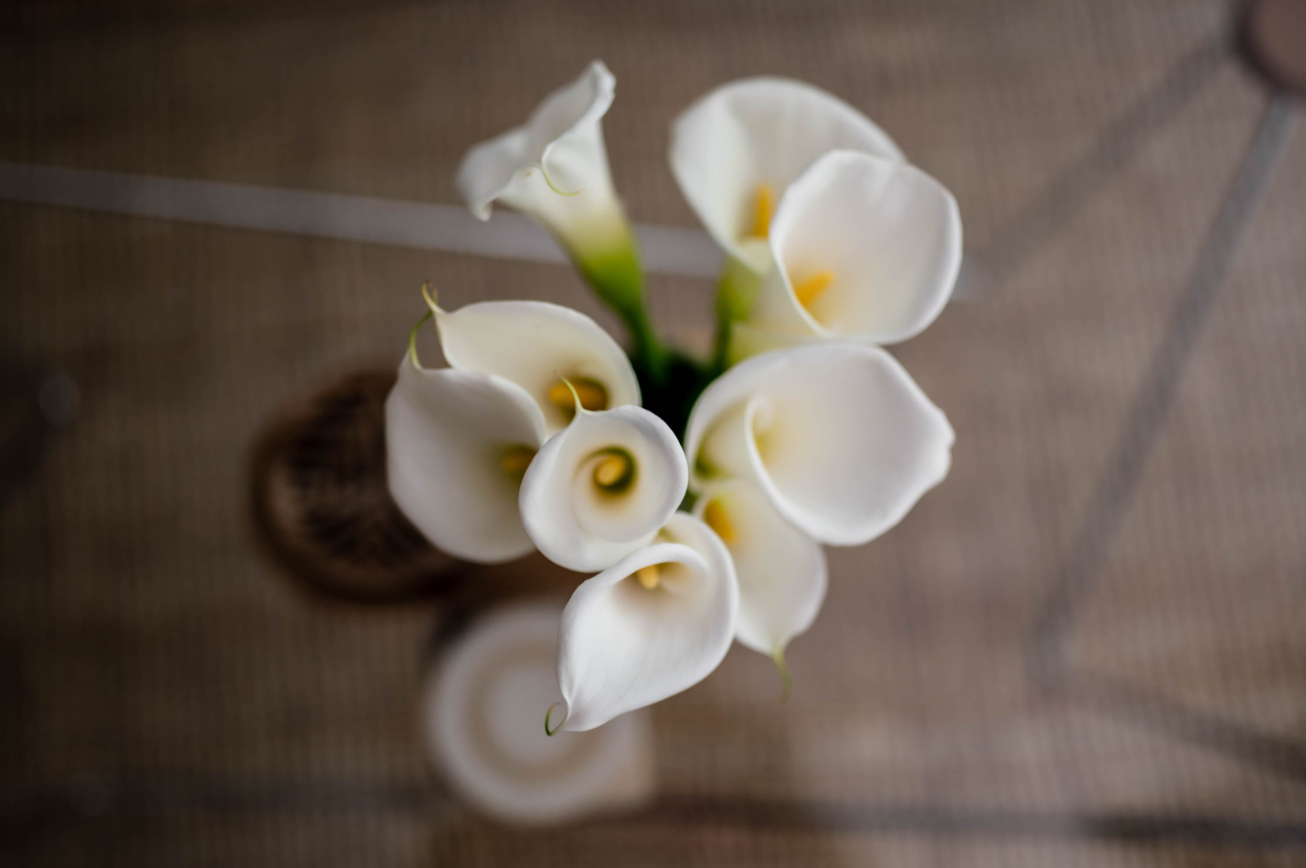 Fotografisanje enterijera. Bojana Žuža fotograf u Beogradu 📷 Belgrade photographer