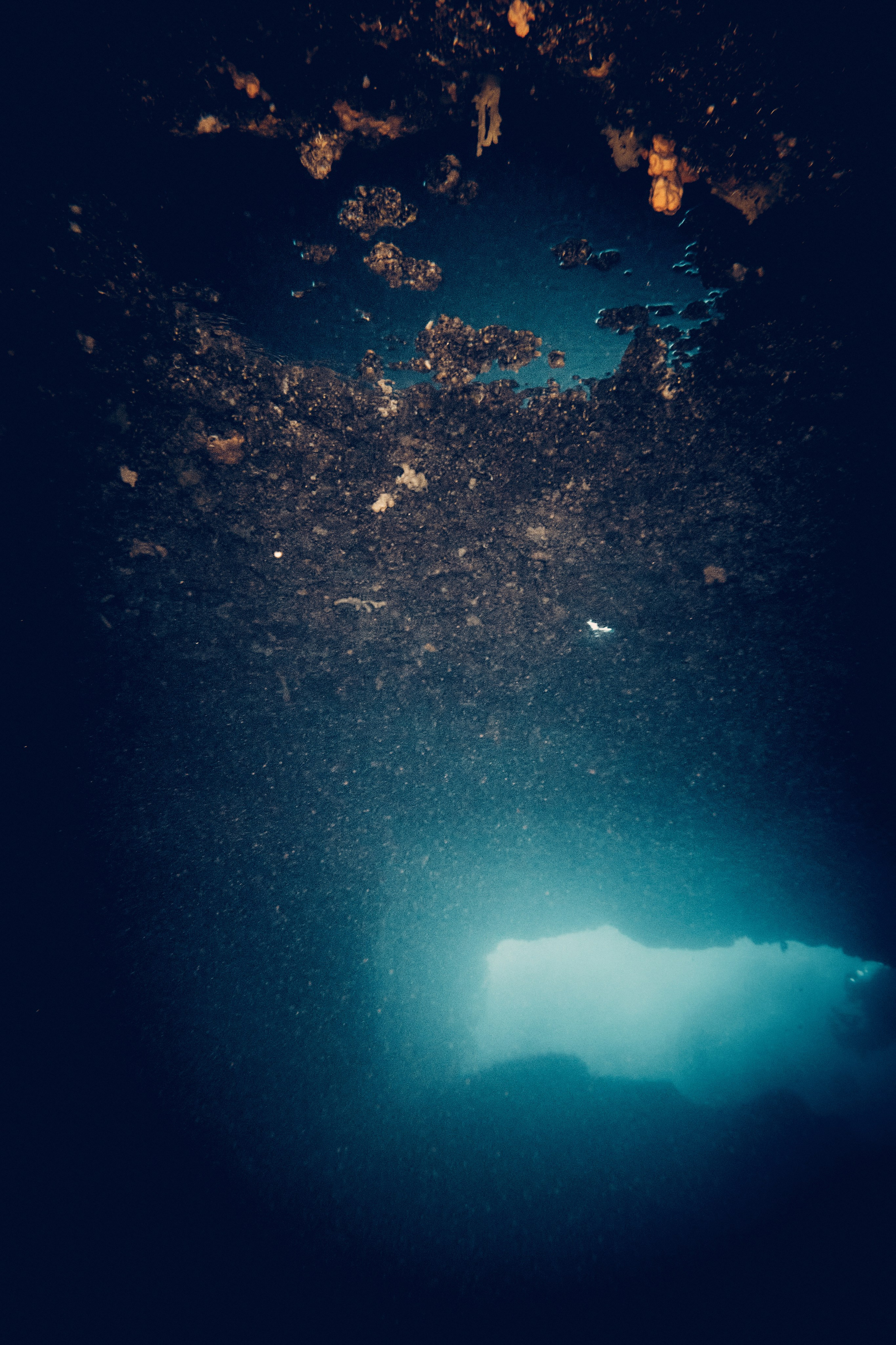 Podwodny fotograf - Andriej Szypilow - underwater photography. Tajemnica - wielka, głęboka i wszechobecna - to jest ta jakość, której przede wszystkim szukam w fotografii podwodnej...