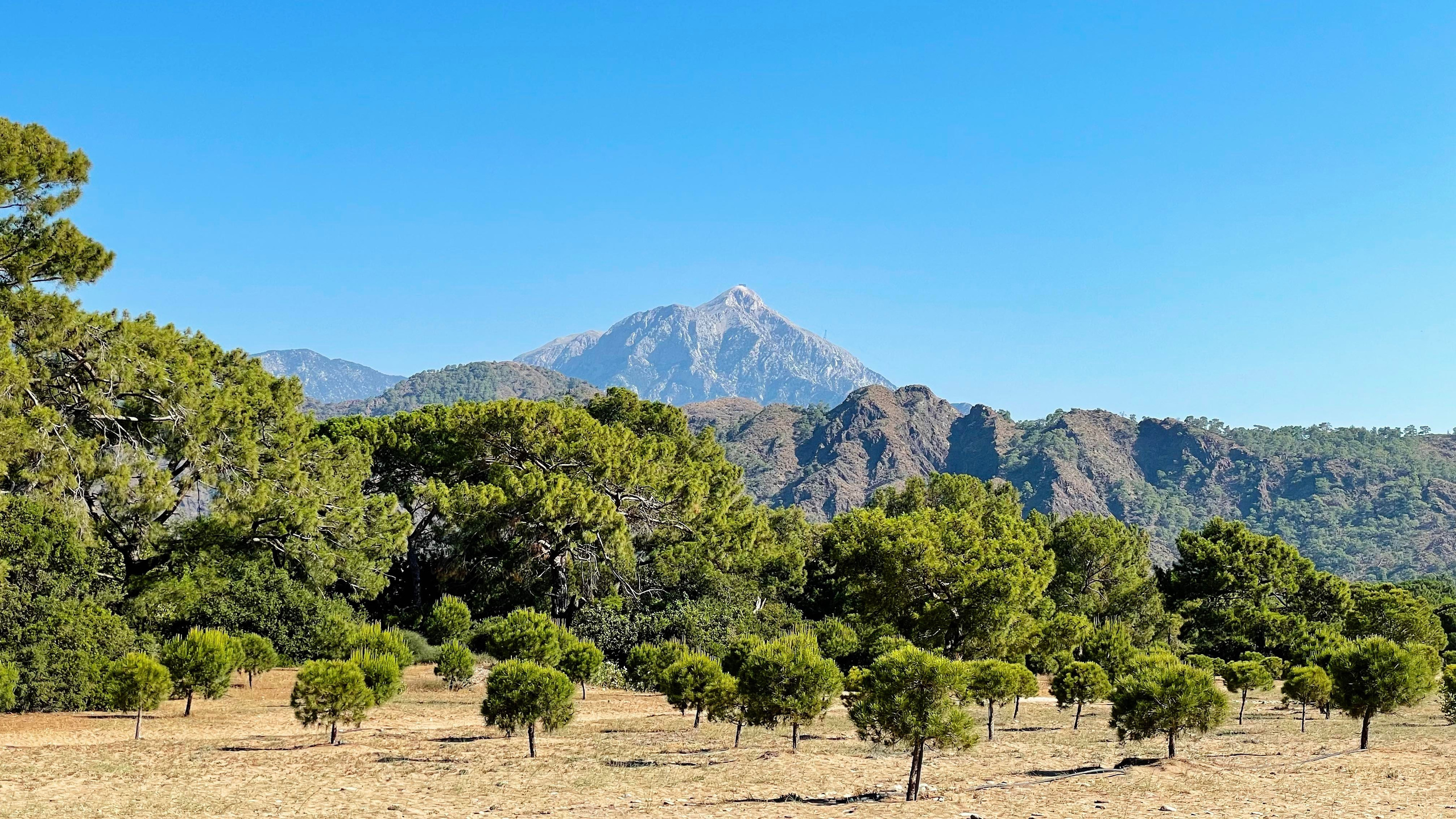 Йога-Ретрит в Турции