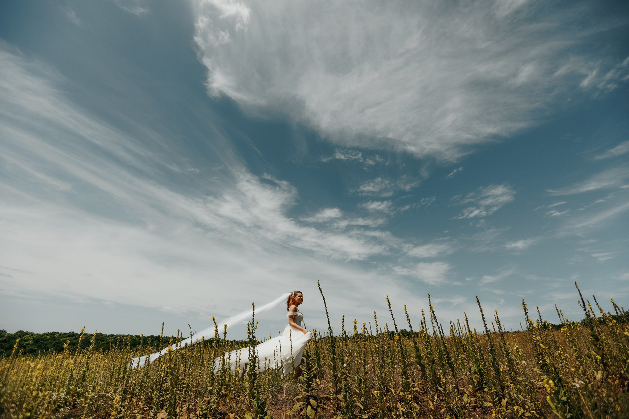 Andrei si Adelina. Fotograf și videograf de nuntă R. Moldova, Romania