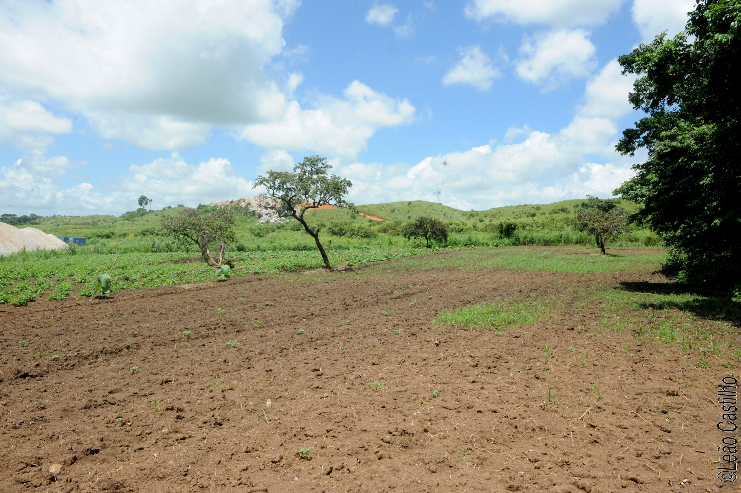 Photos of agriculture for the people of Muindi project. Simbahalu