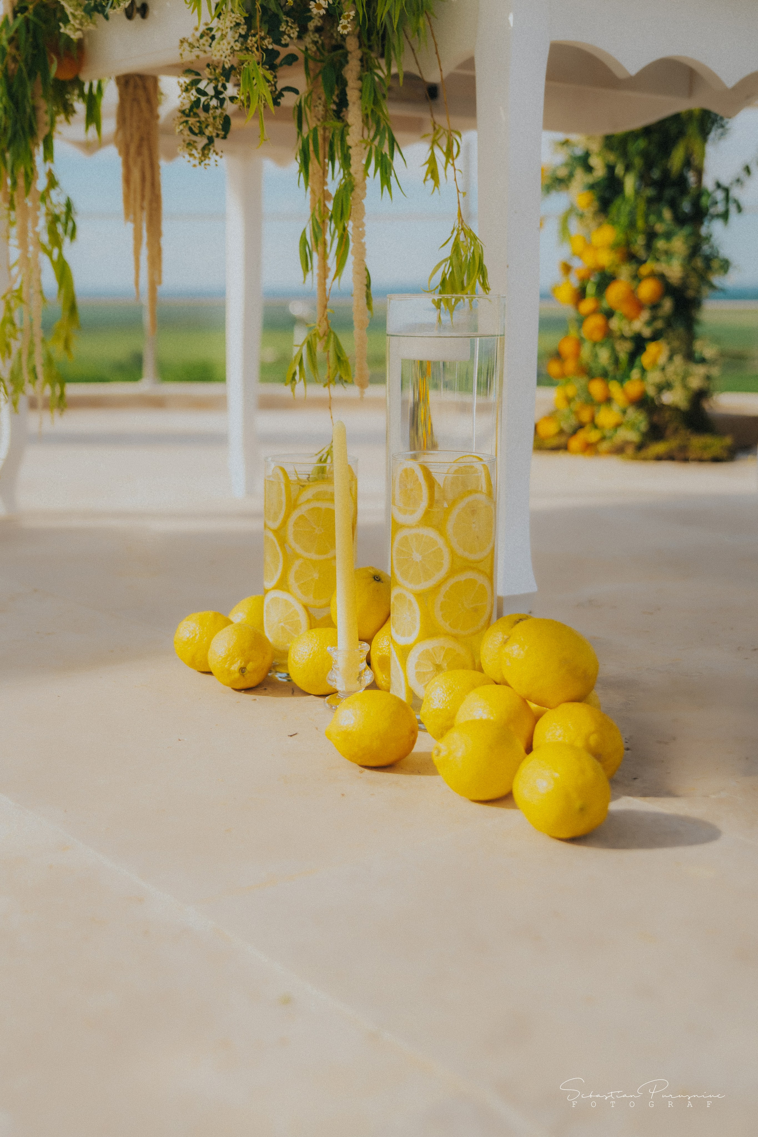 Love & Lemons. Sebastian Purusniuc Fotograf - Iasi