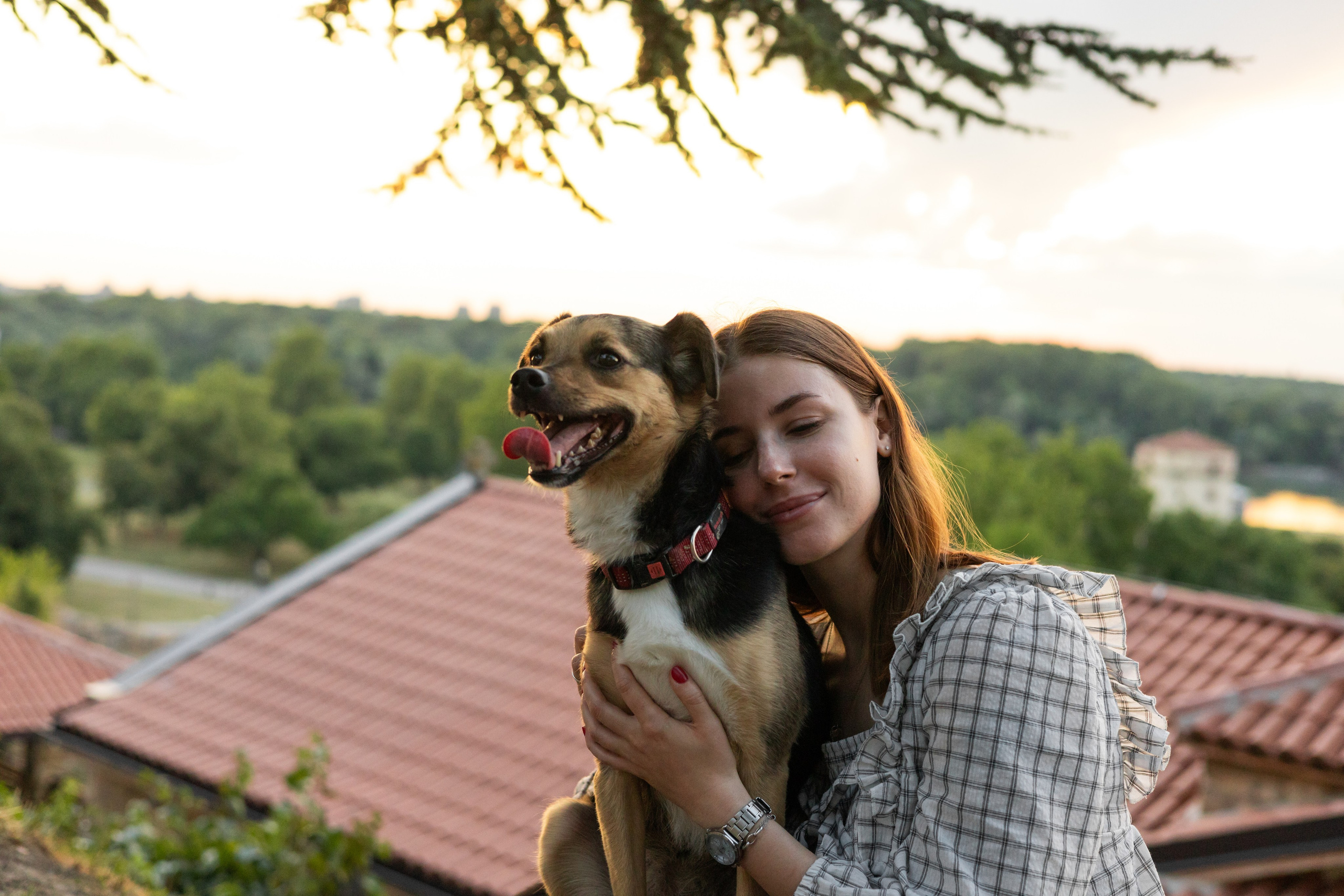 Фотограф-анималист | Белград
