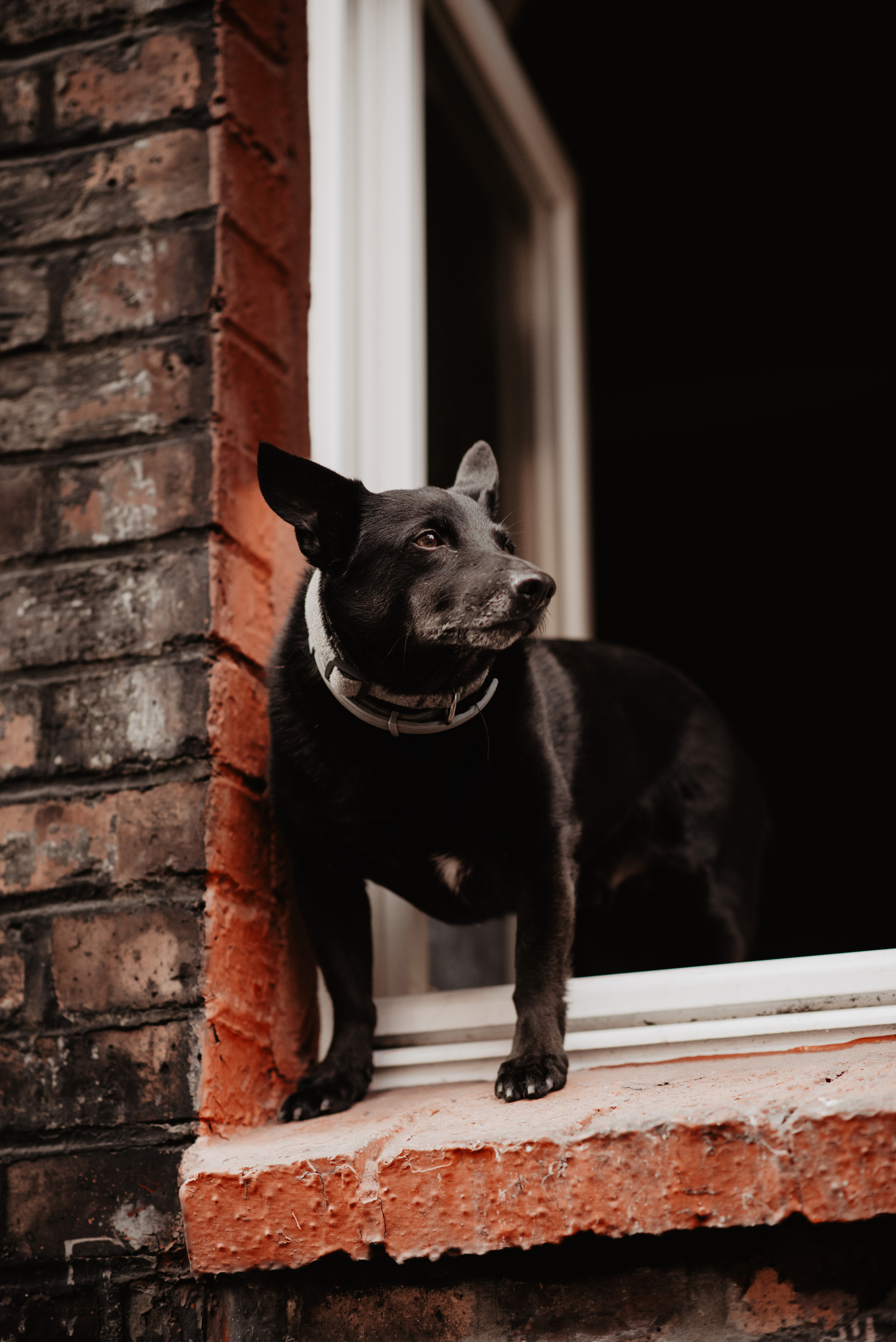 Tosia & Tomasz. Sesja miłosna na Nikiszowcu. Bałanda Fotografia – Sesje Kobiece, Rodzinne, Miłosne, Reportaże | Katowice Śląsk