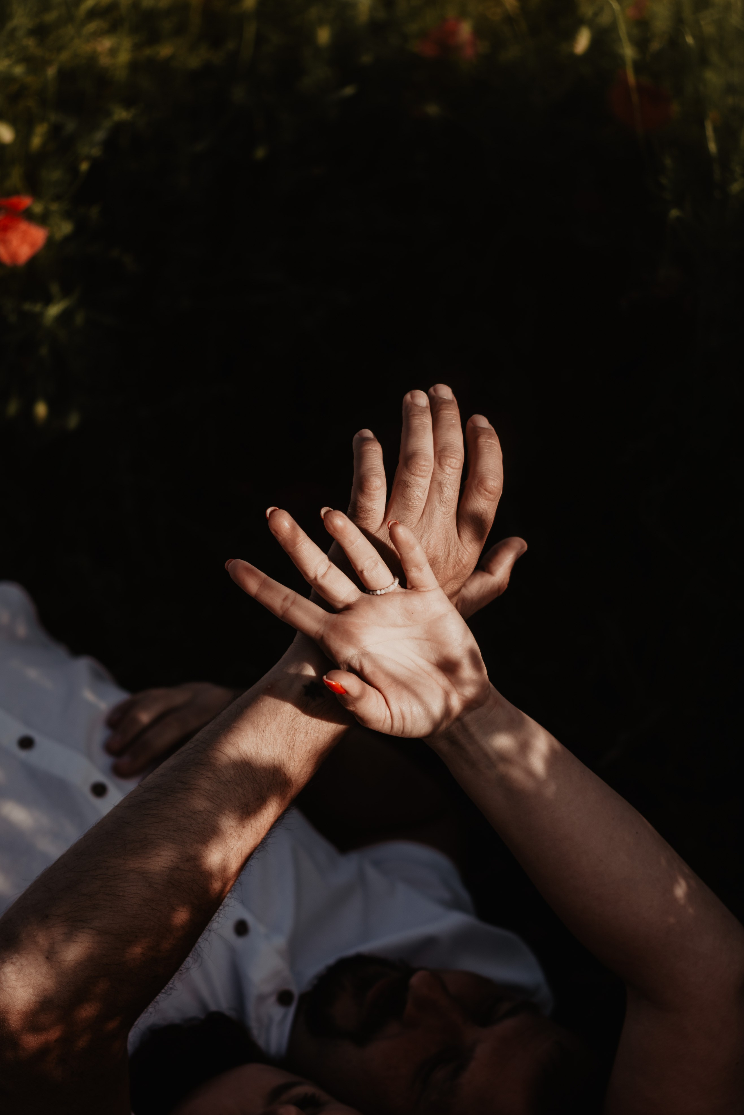 Kasia & Marcin. Pole makowe i zaskakujący finał sesji. Bałanda Fotografia – Sesje Kobiece, Rodzinne, Miłosne, Reportaże | Katowice Śląsk