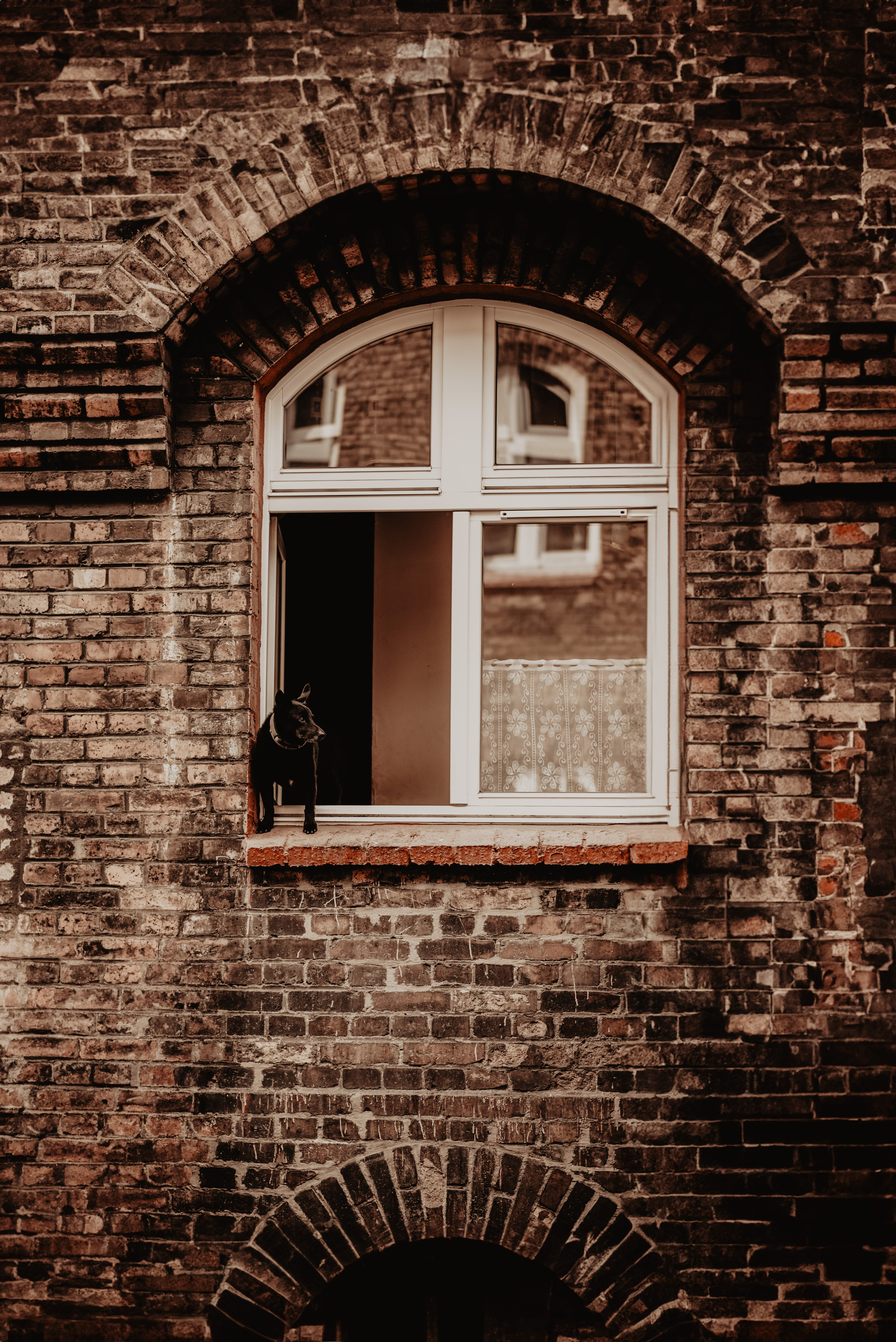 Tosia & Tomasz. Sesja miłosna na Nikiszowcu. Bałanda Fotografia – Sesje Kobiece, Rodzinne, Miłosne, Reportaże | Katowice Śląsk