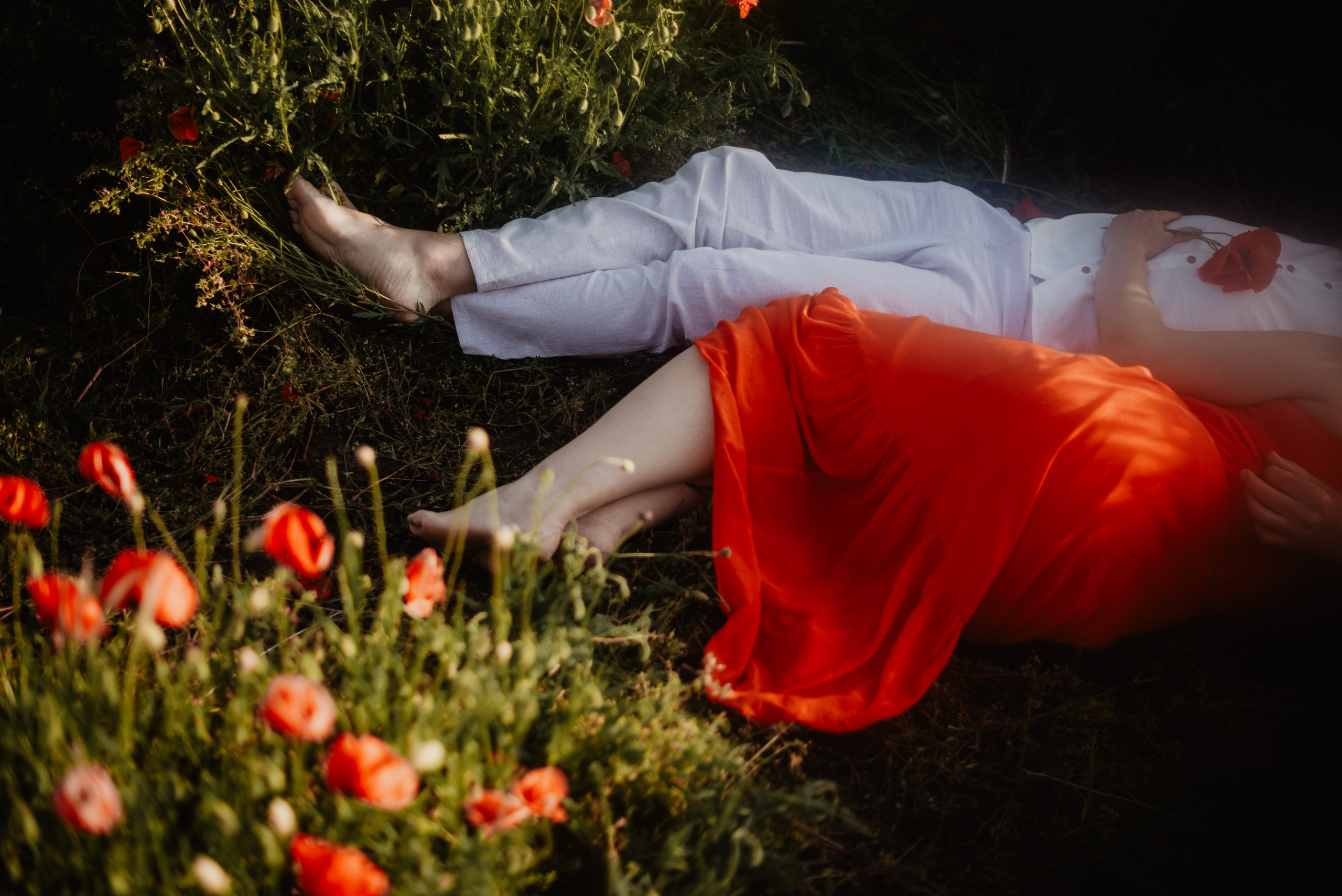 Kasia & Marcin. Pole makowe i zaskakujący finał sesji. Bałanda Fotografia – Sesje Kobiece, Rodzinne, Miłosne, Reportaże | Katowice Śląsk