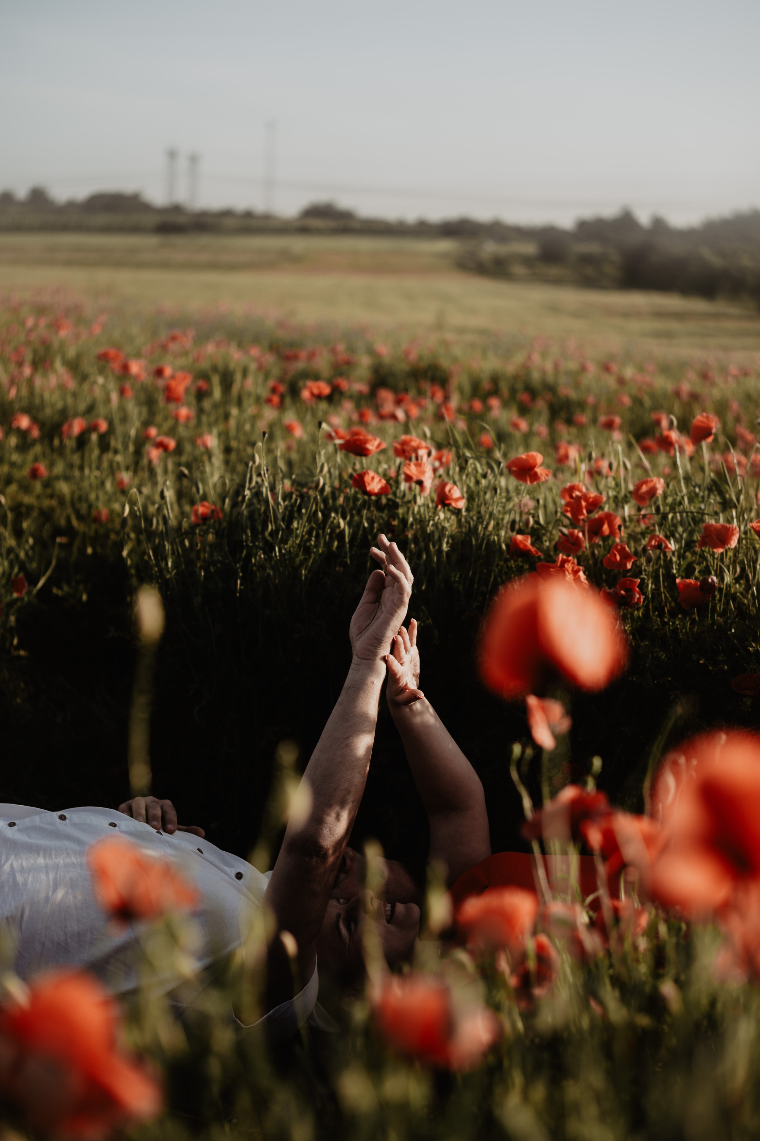 Kasia & Marcin. Pole makowe i zaskakujący finał sesji. Bałanda Fotografia – Sesje Kobiece, Rodzinne, Miłosne, Reportaże | Katowice Śląsk