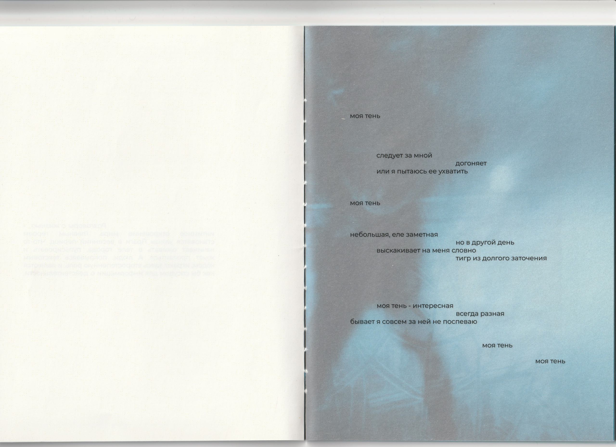 A diary of visual poetry