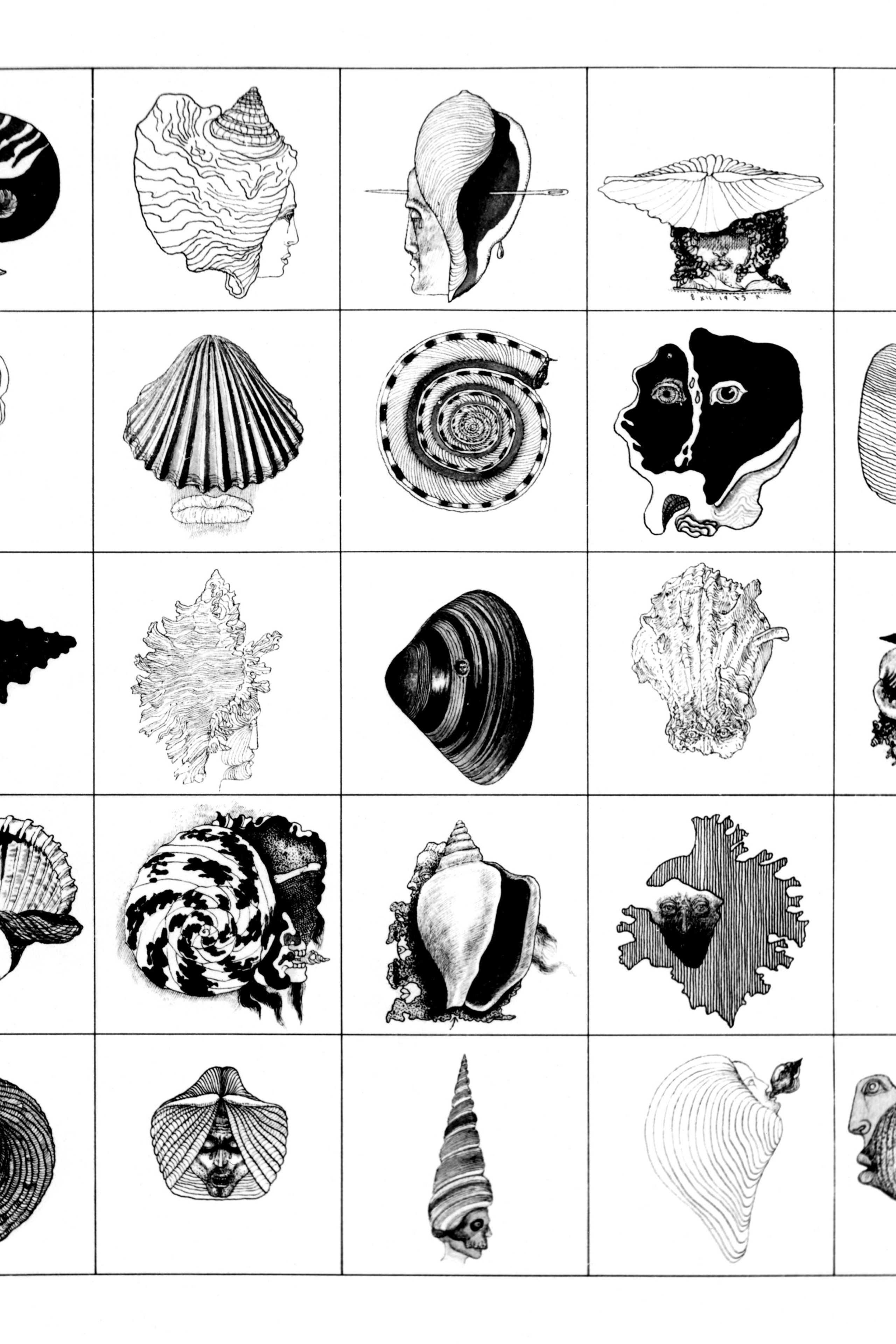 Cykl „Katalog” - 1975