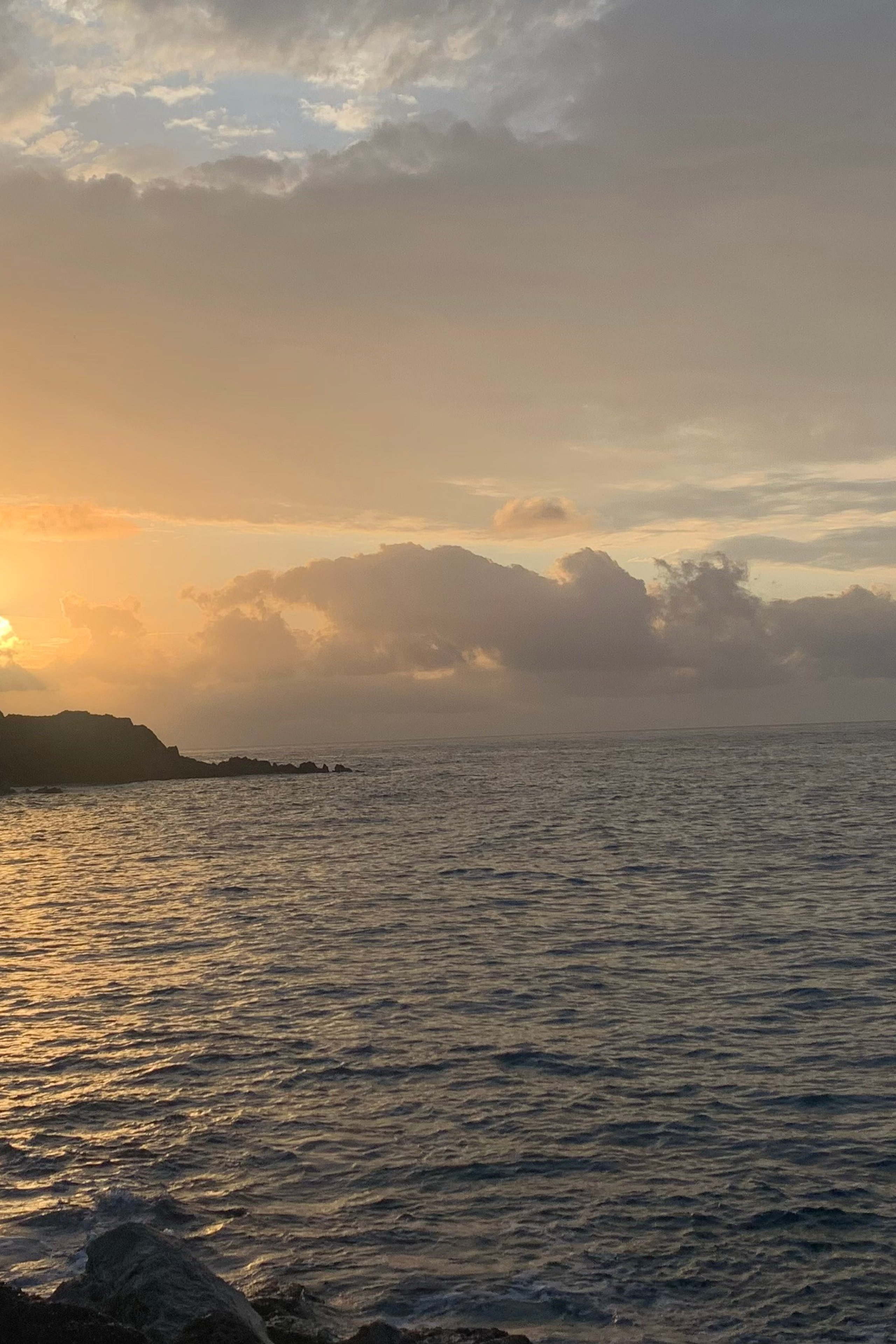 Blog. Nadia Kuprina. Artist