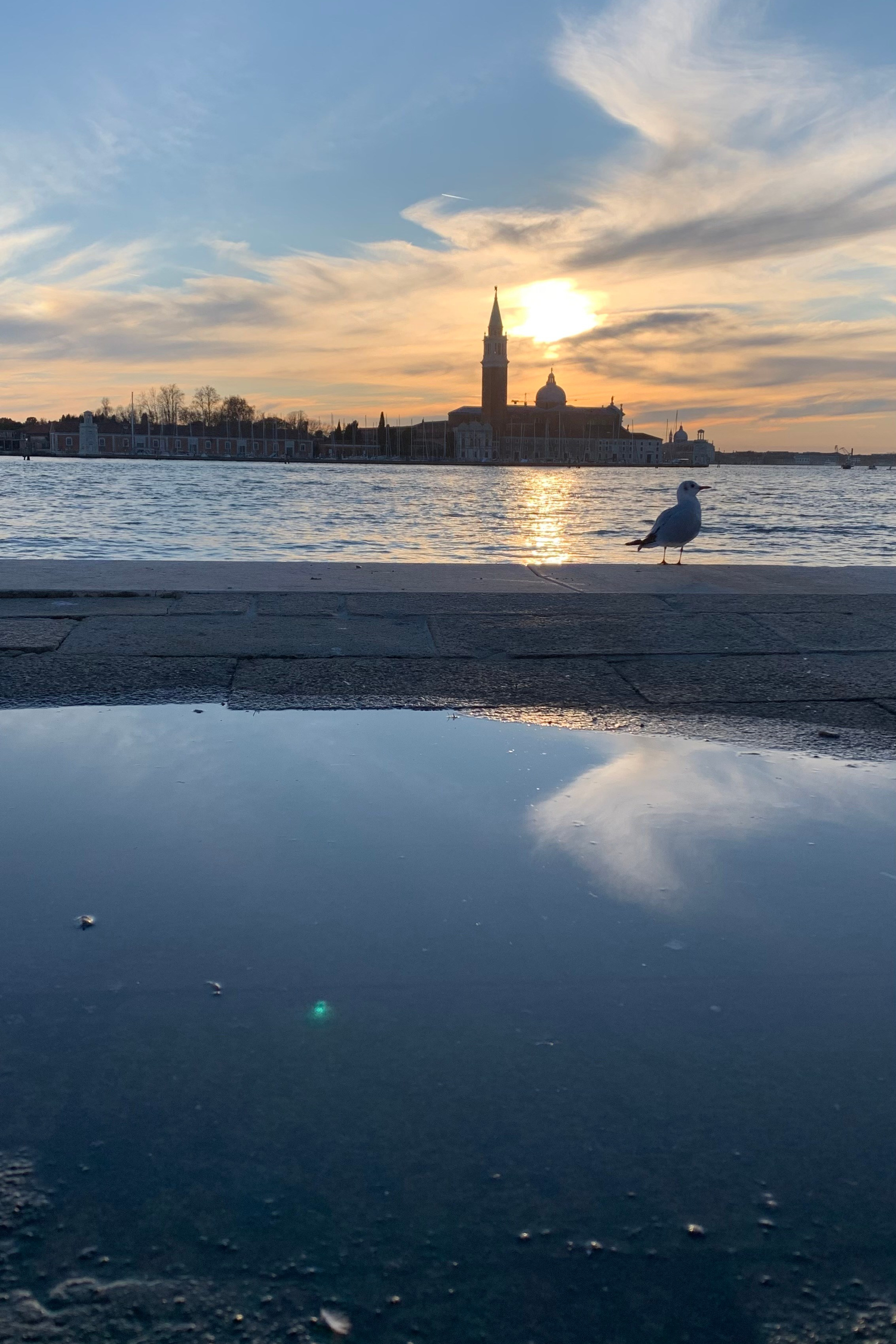 Blog. Nadia Kuprina. Artist