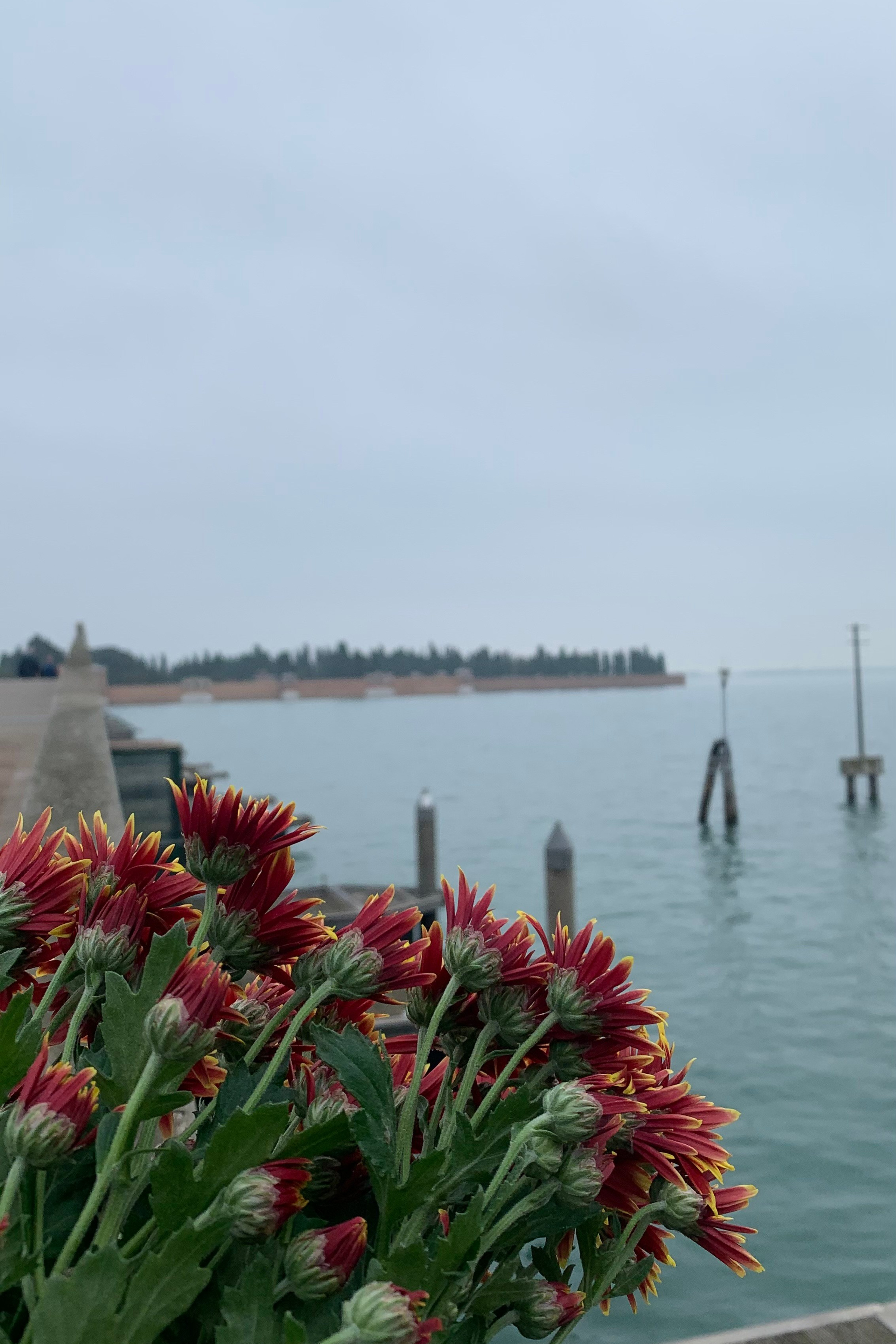 Blog. Nadia Kuprina. Artist