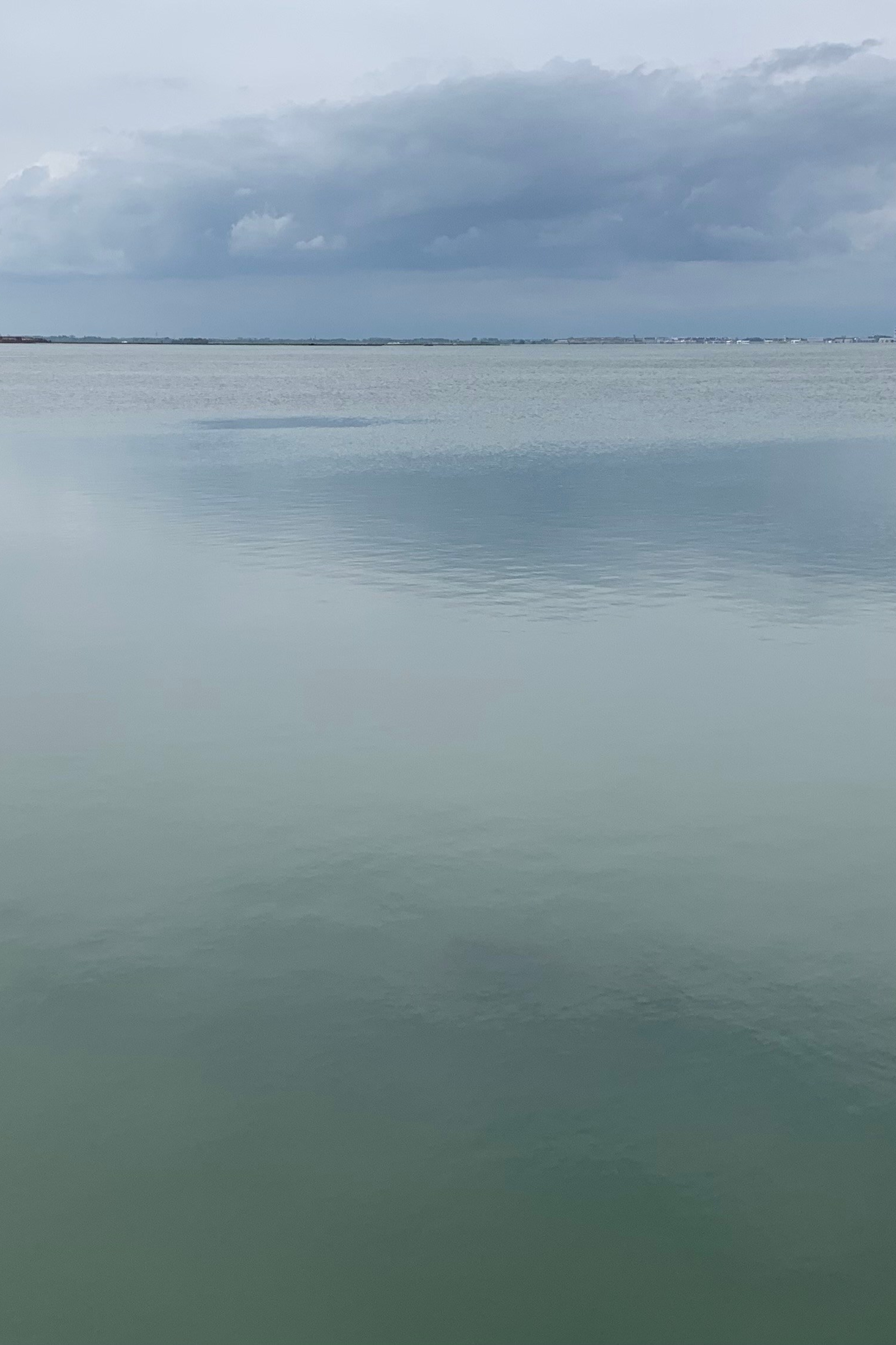 Blog. Nadia Kuprina. Artist