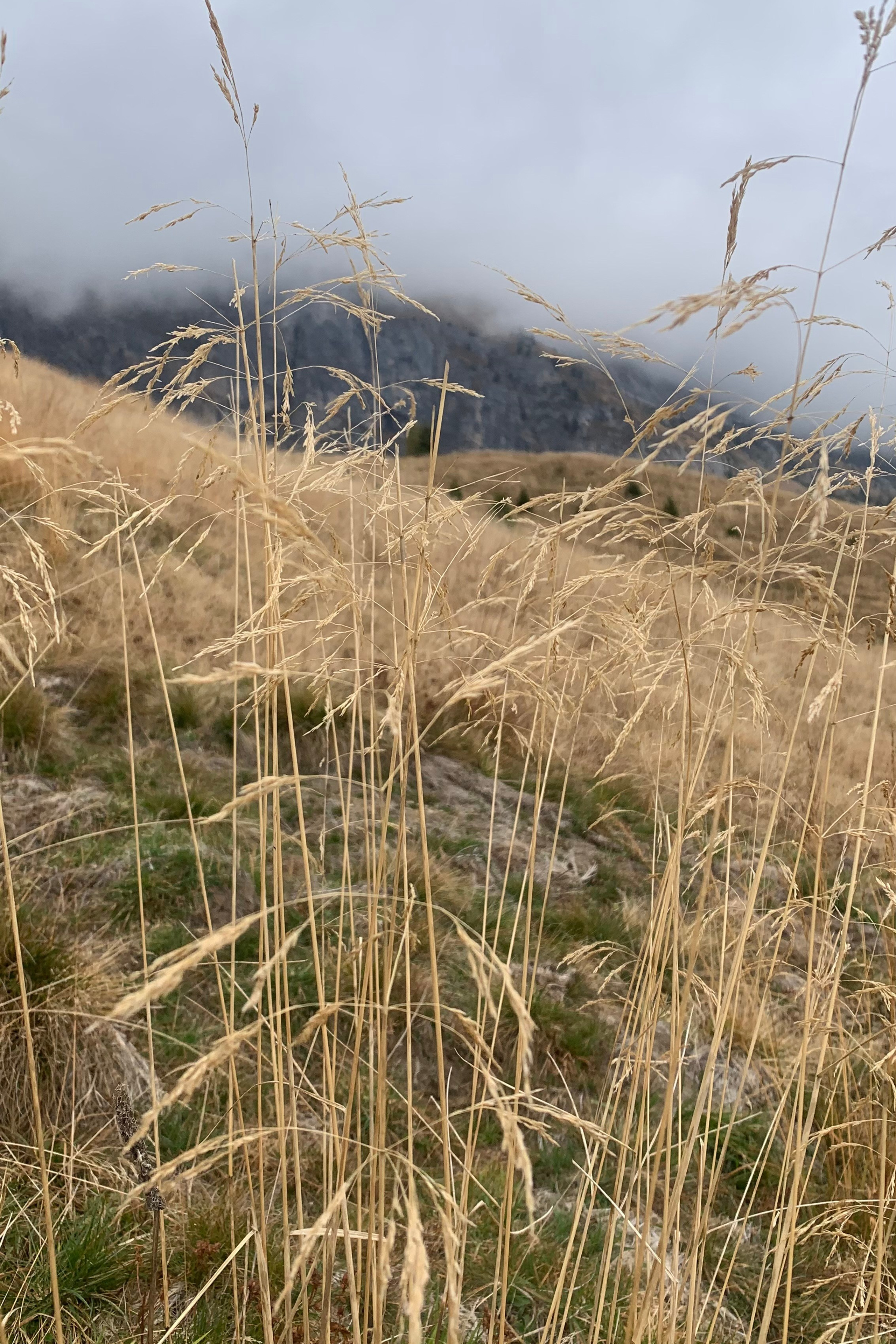 Blog. Nadia Kuprina. Artist