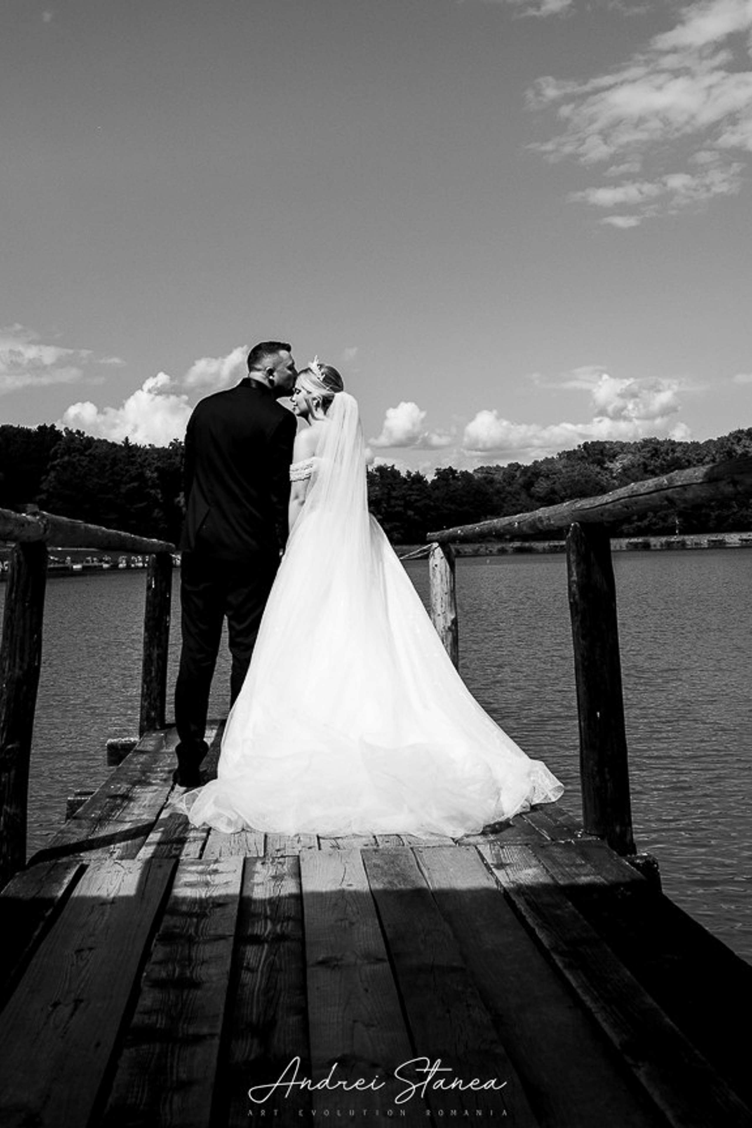 Stories. Andrei Stanea