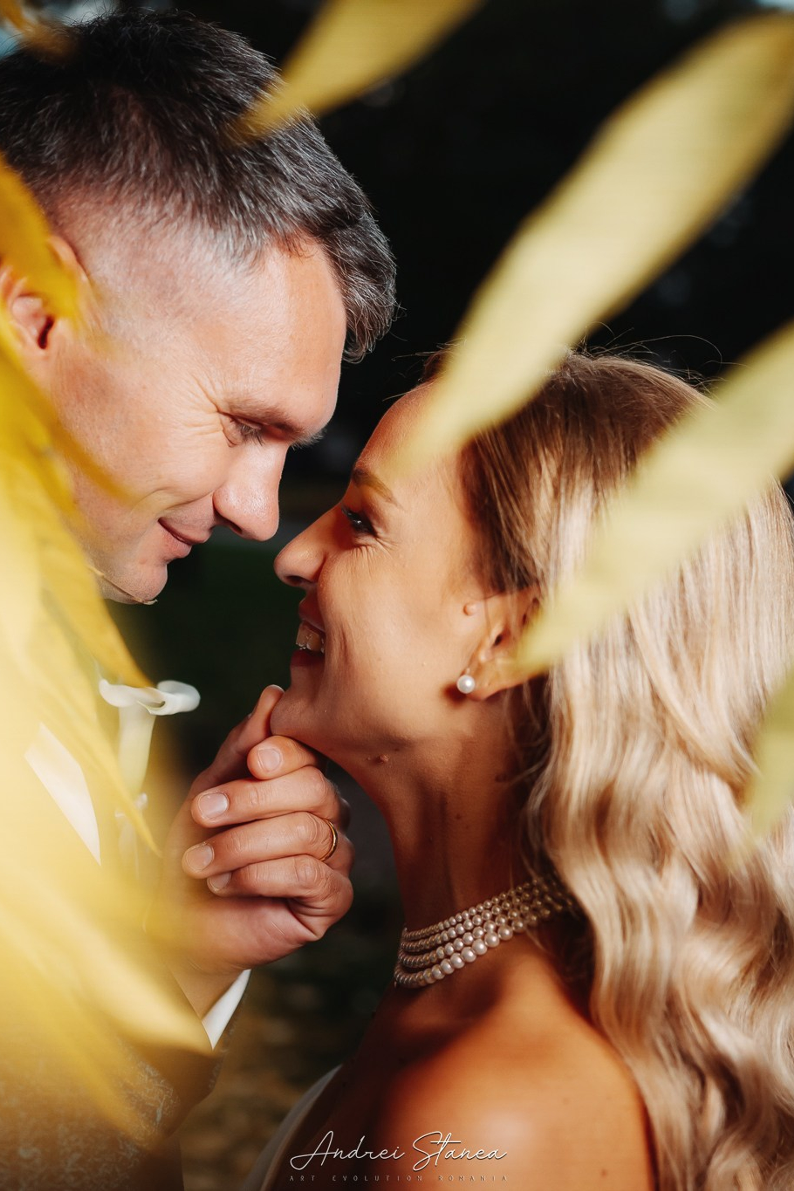 Stories. Andrei Stanea