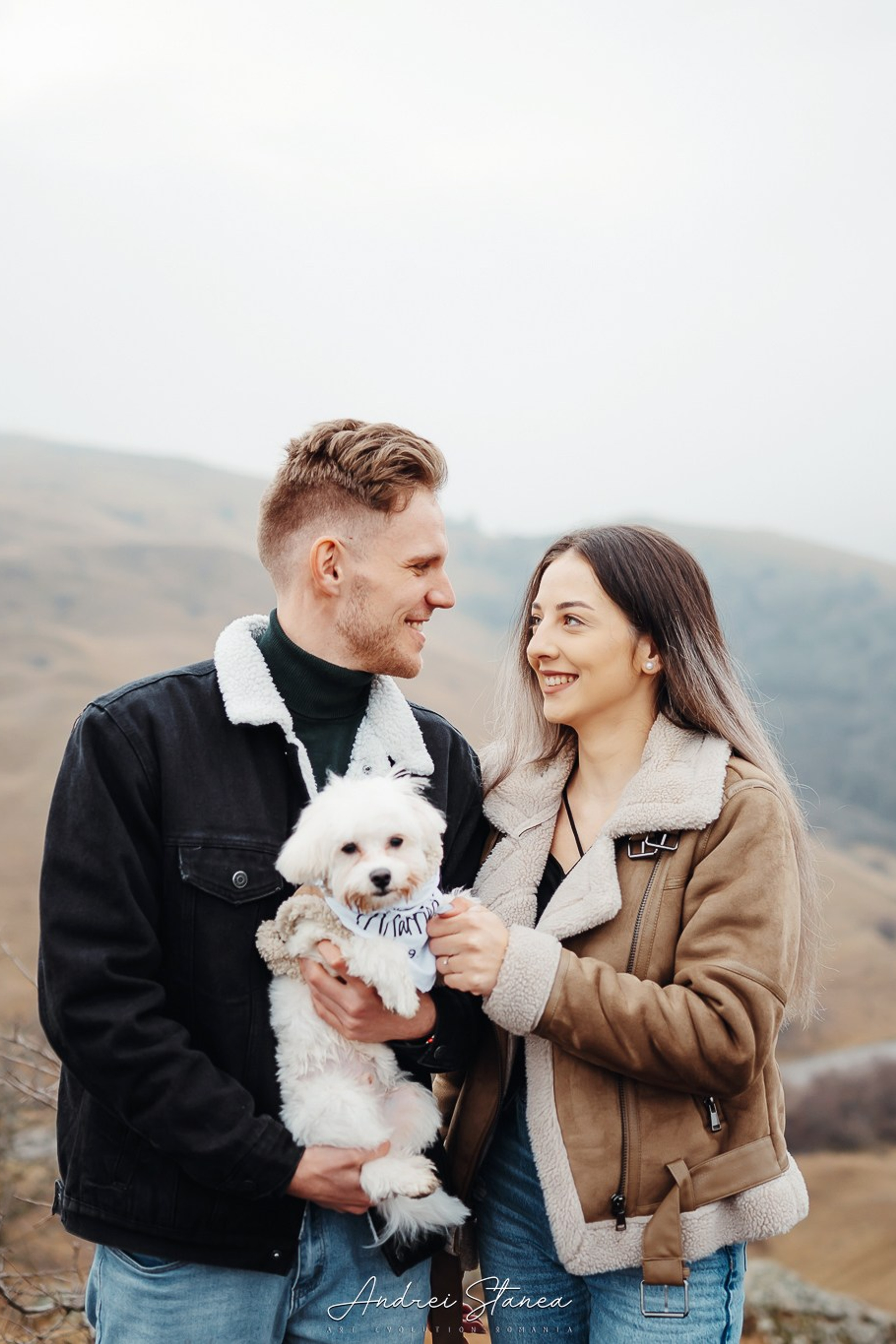 Stories. Andrei Stanea