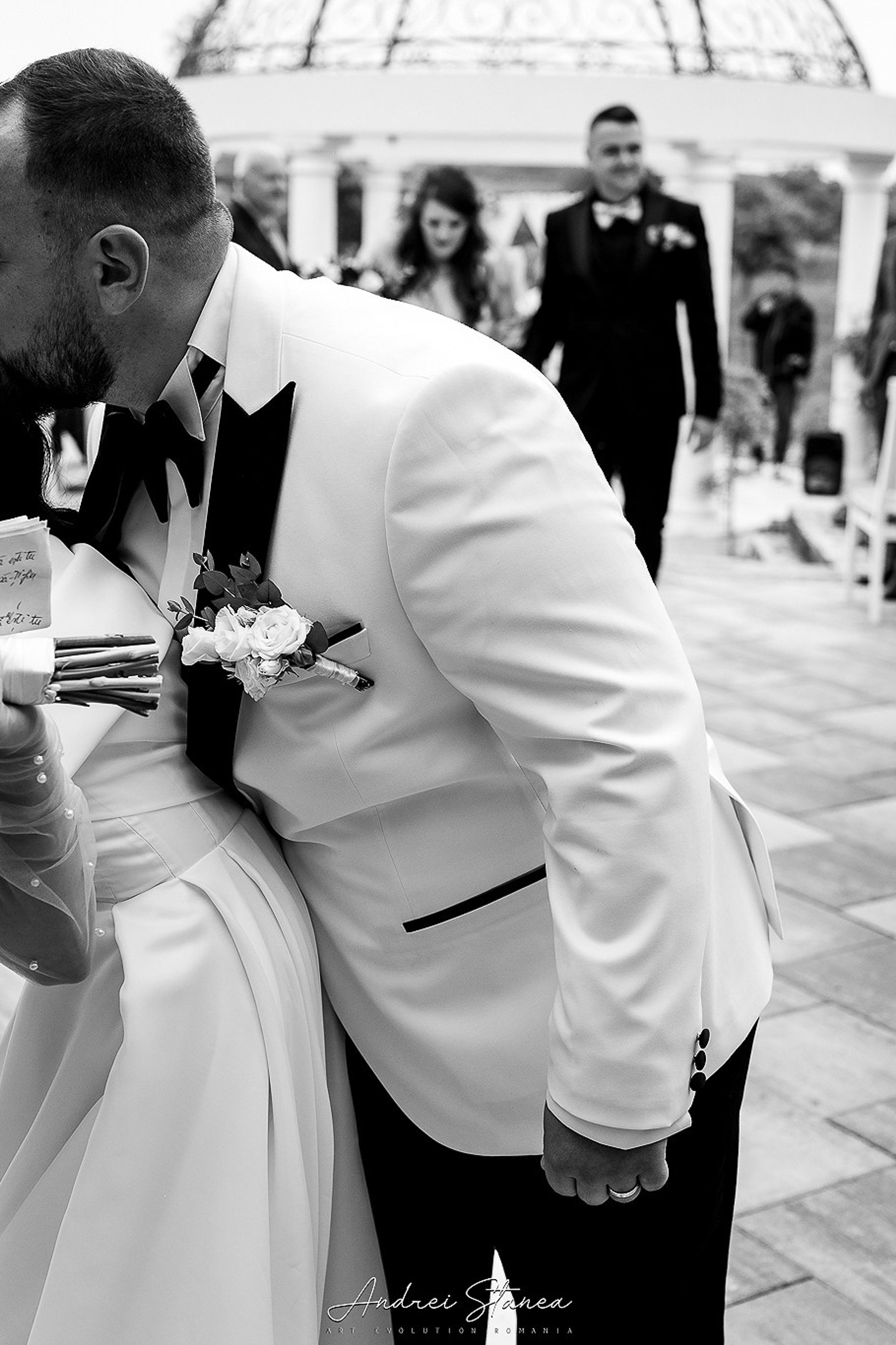 Stories. Andrei Stanea