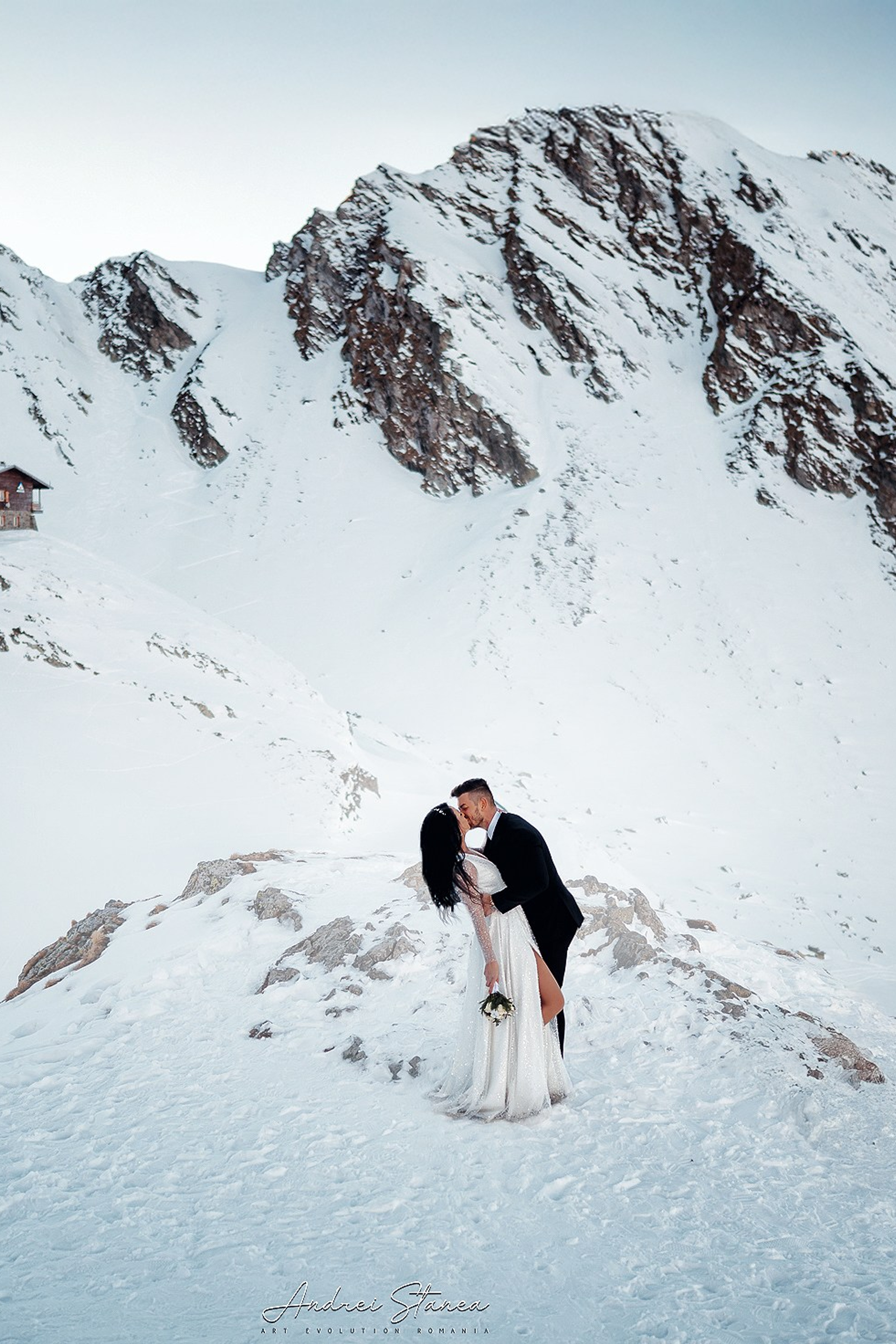 Stories. Andrei Stanea