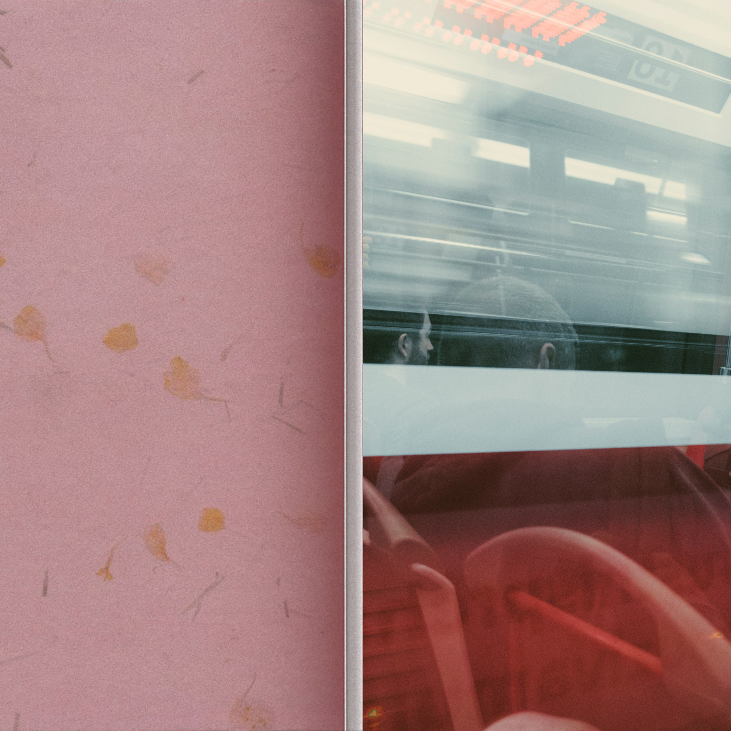 Alexandra Kozina — Conversations with Life