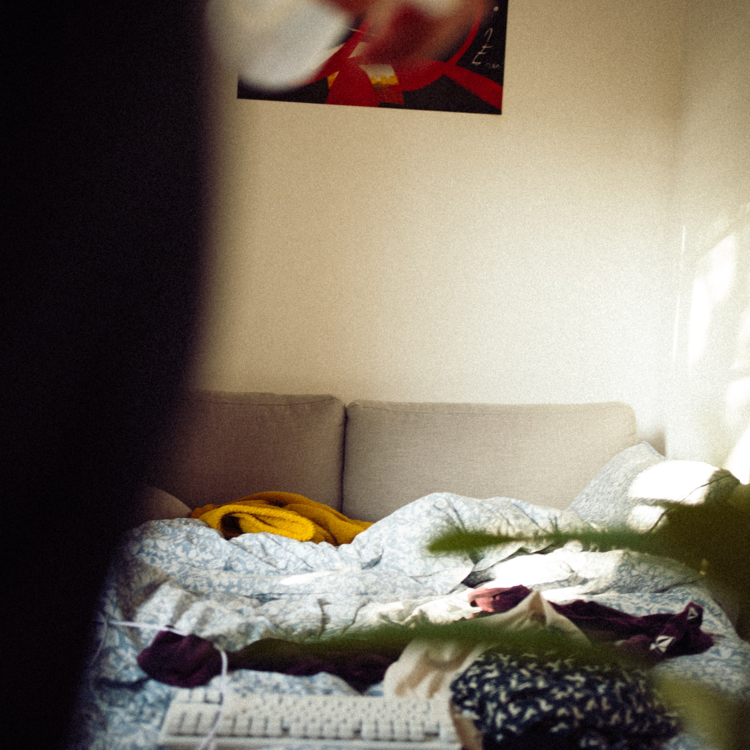 Explorando una nueva forma de ver