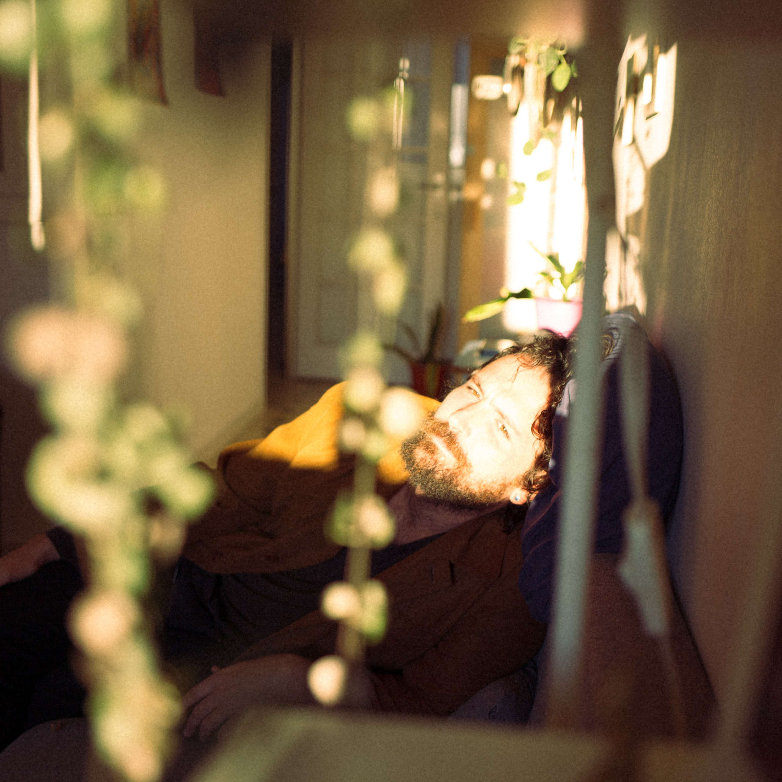 Roy: Retrato de músico