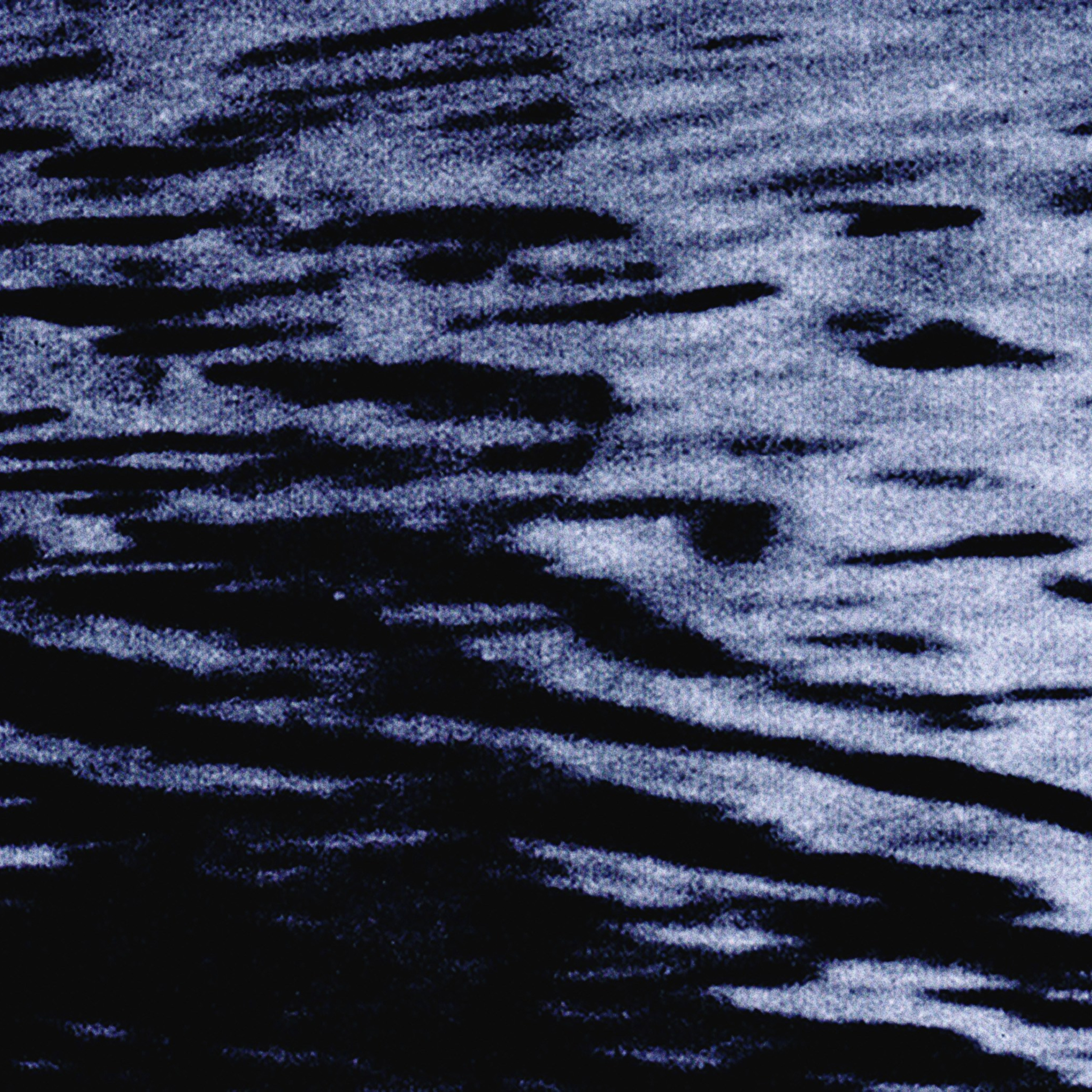 I Am the Sea. Sveta Kaverina