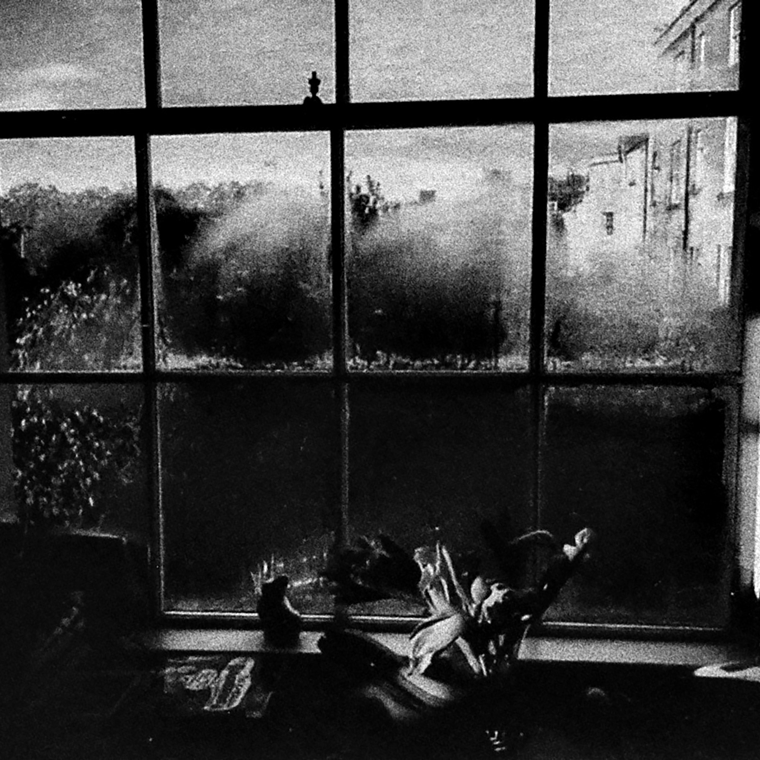 Муха в янтаре. Sveta Kaverina