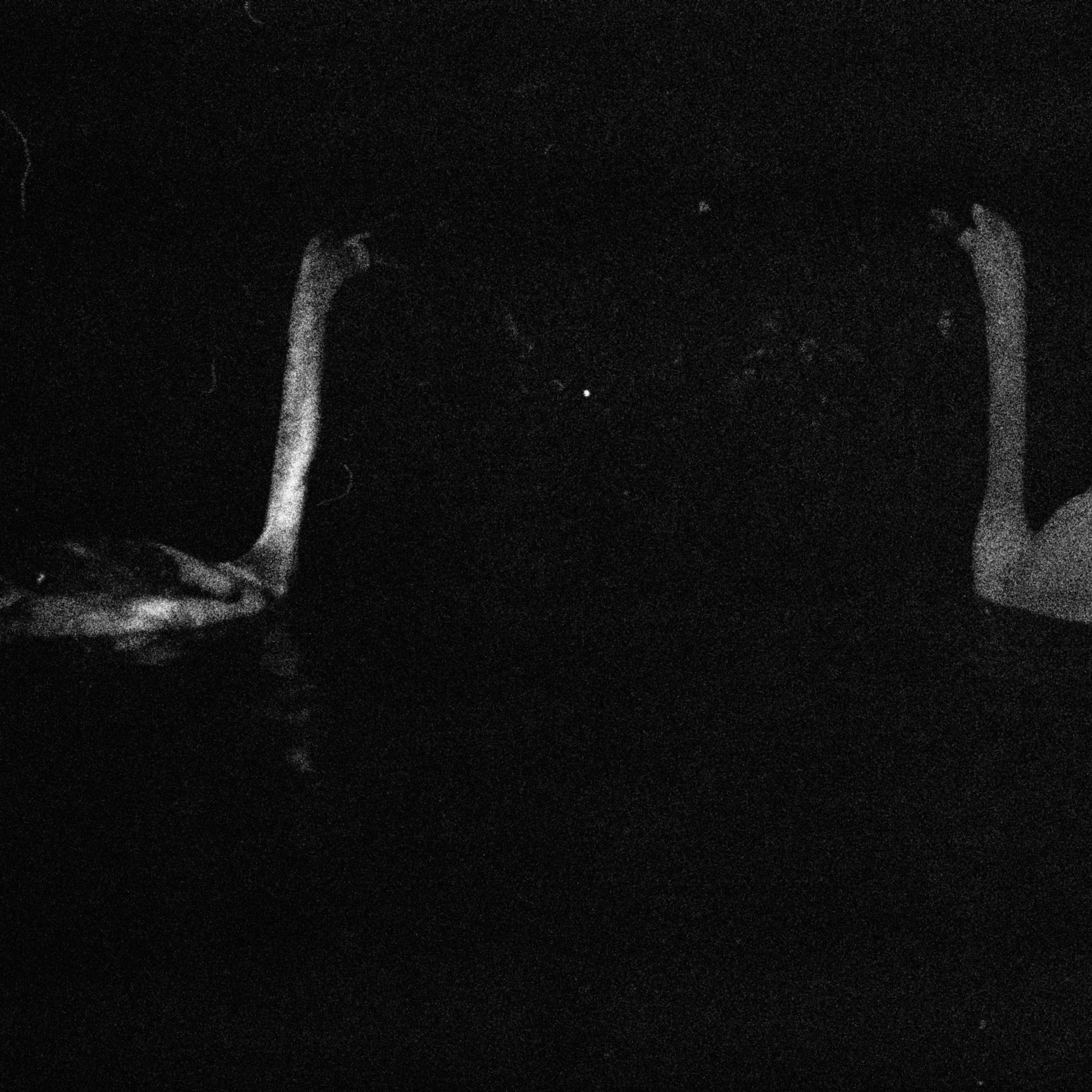 I Am the Sea. Sveta Kaverina