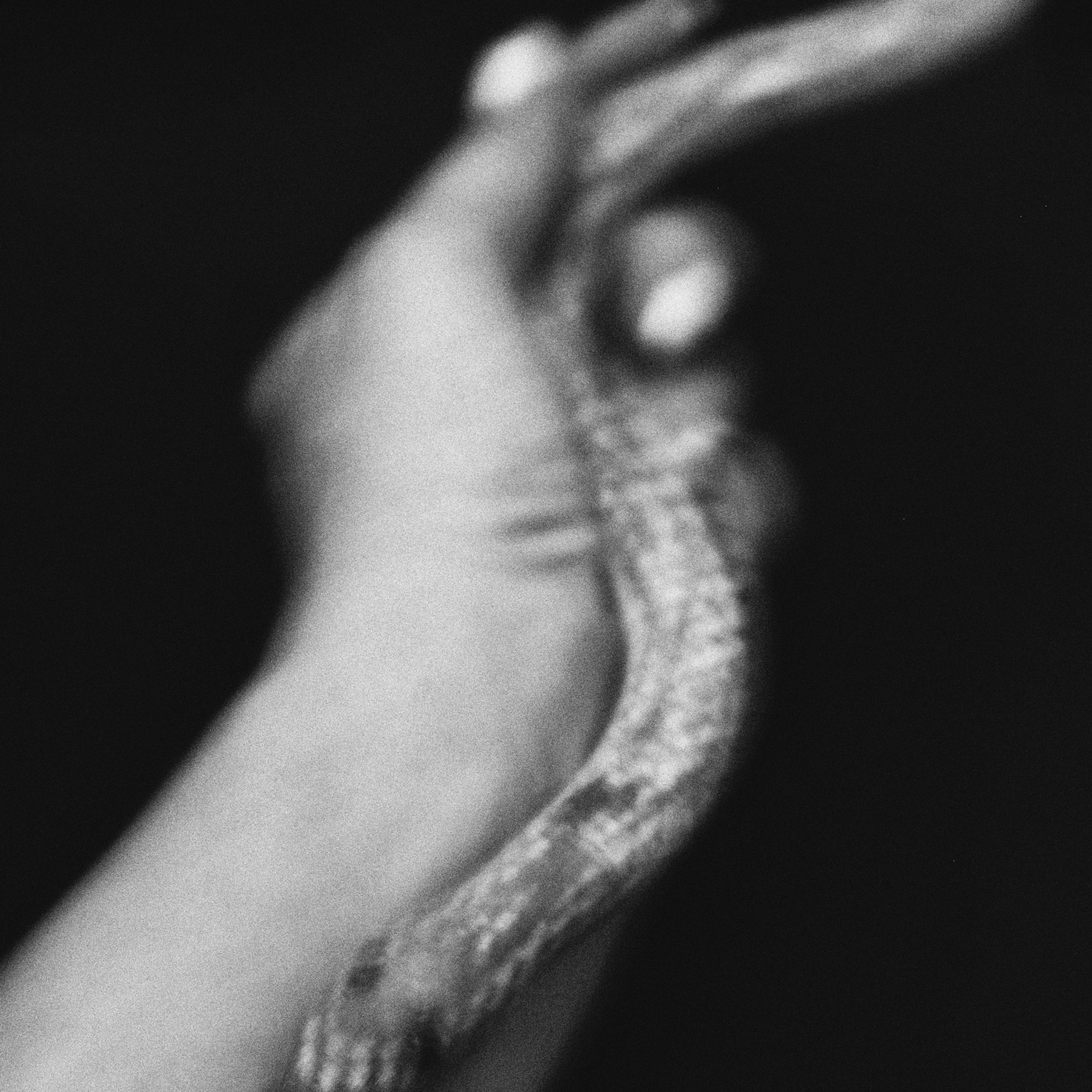 The Garden of Earthly Delights. Sveta Kaverina