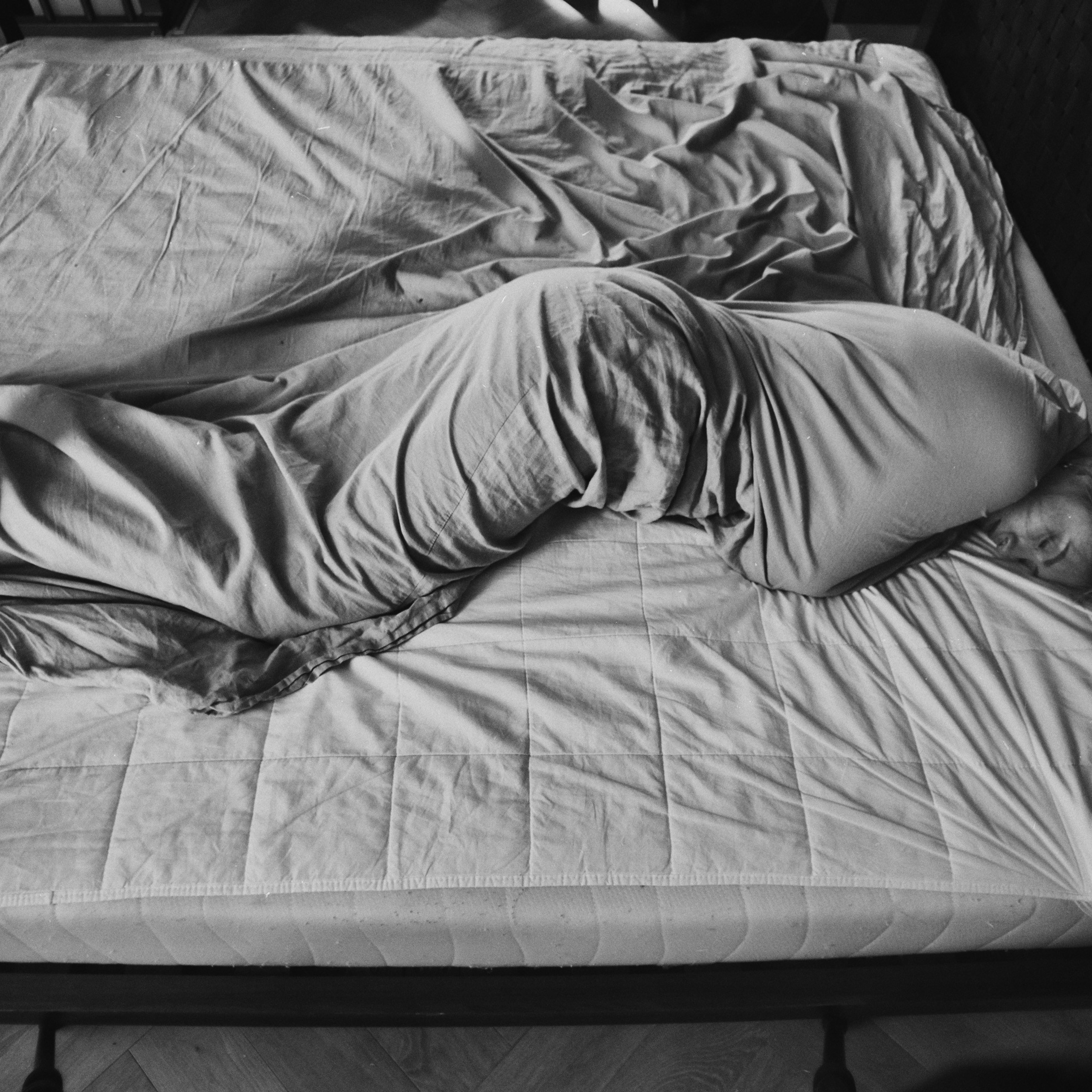 Муха в янтаре. Sveta Kaverina