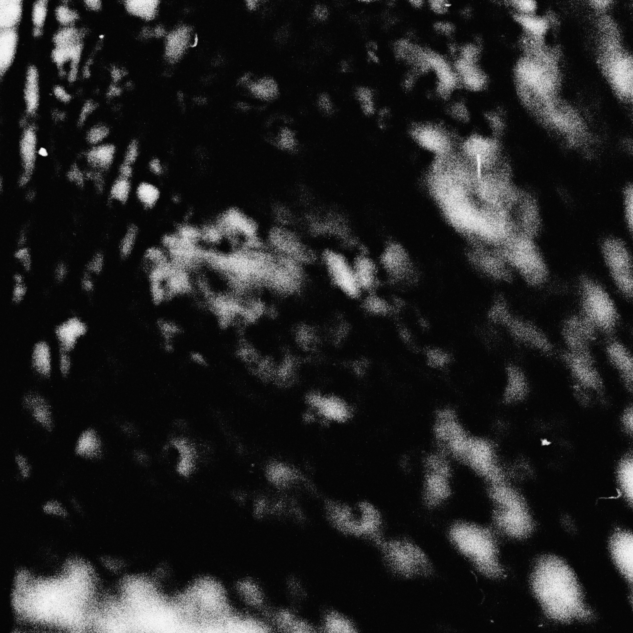 I Am the Sea. Sveta Kaverina