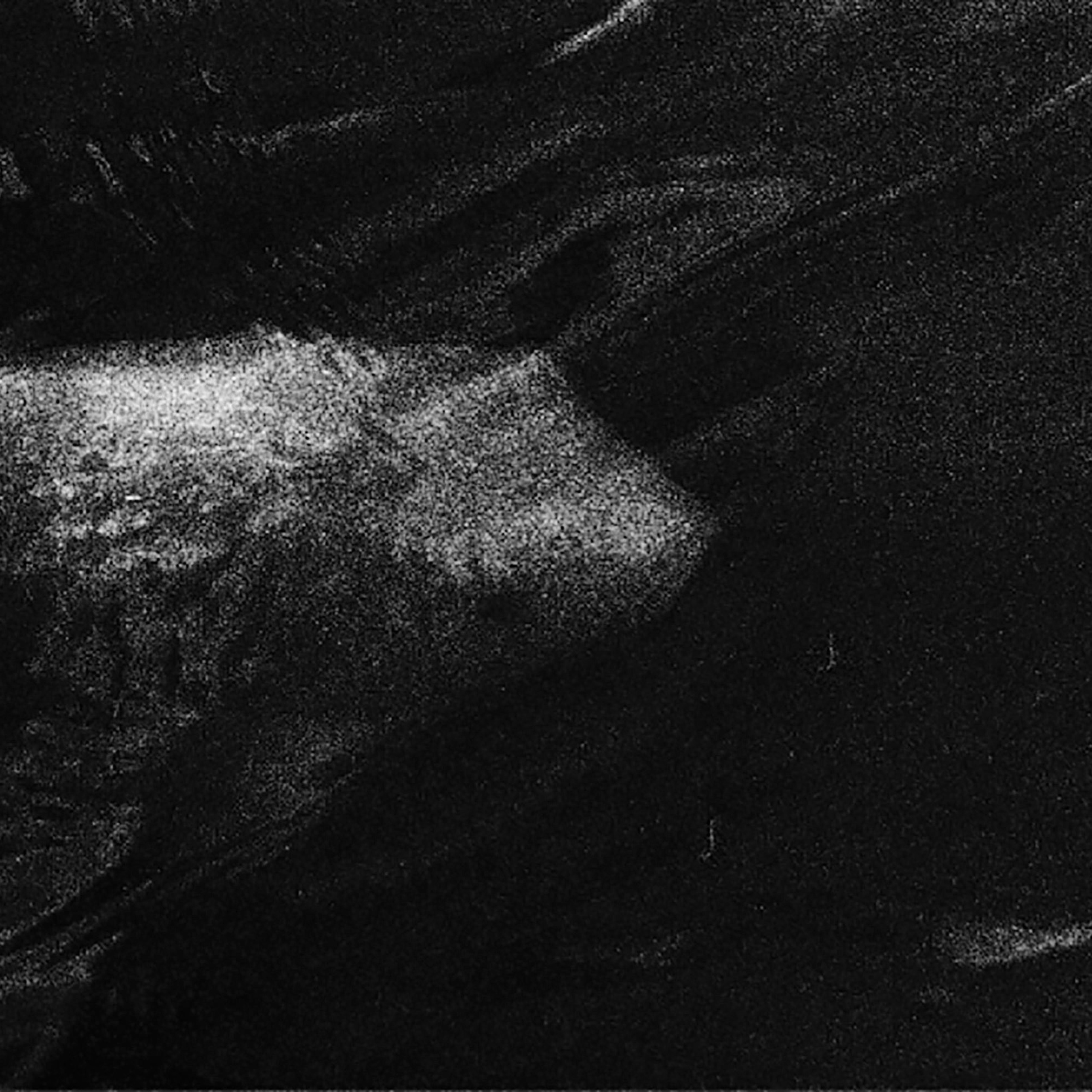 I Am the Sea. Sveta Kaverina