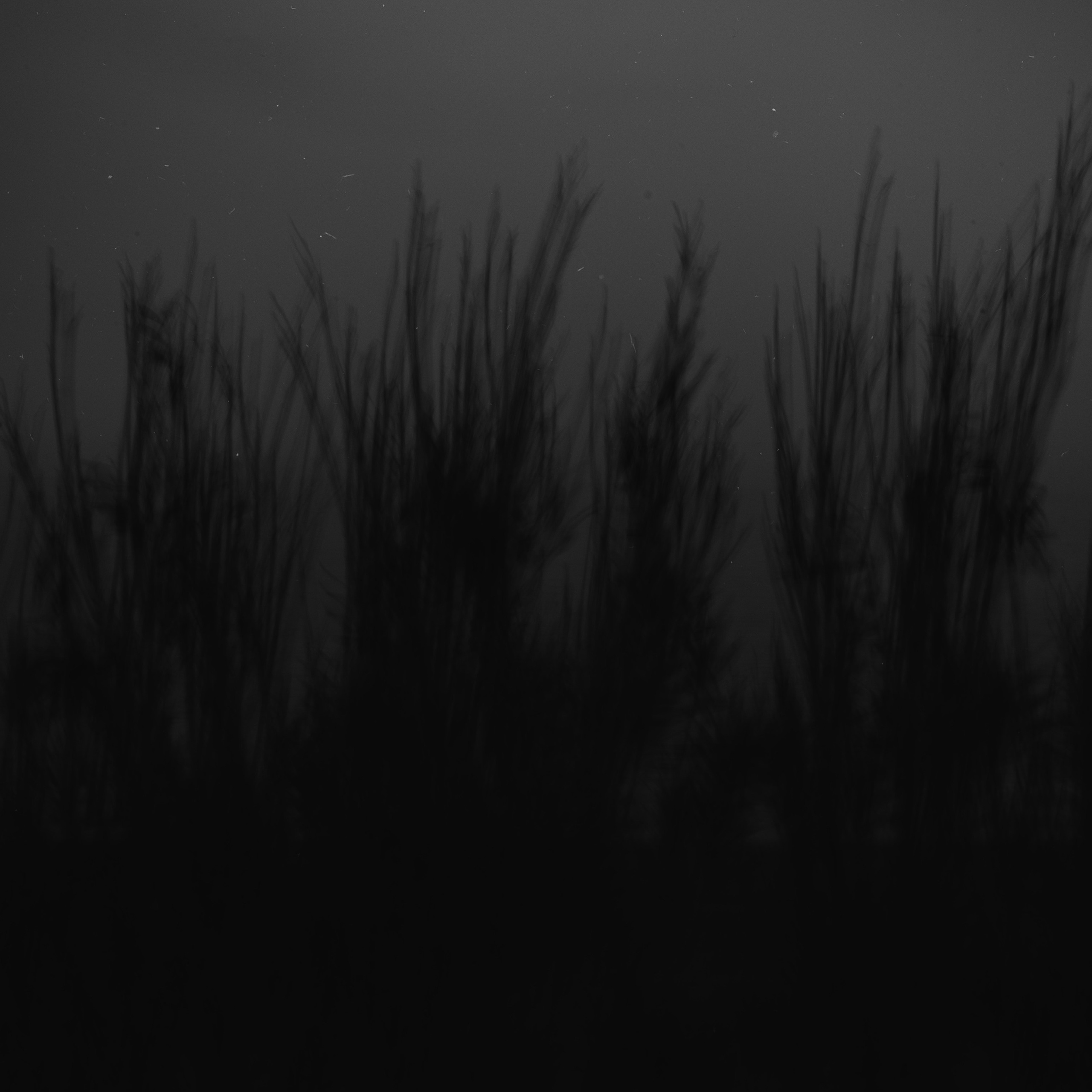 I Am the Sea. Sveta Kaverina