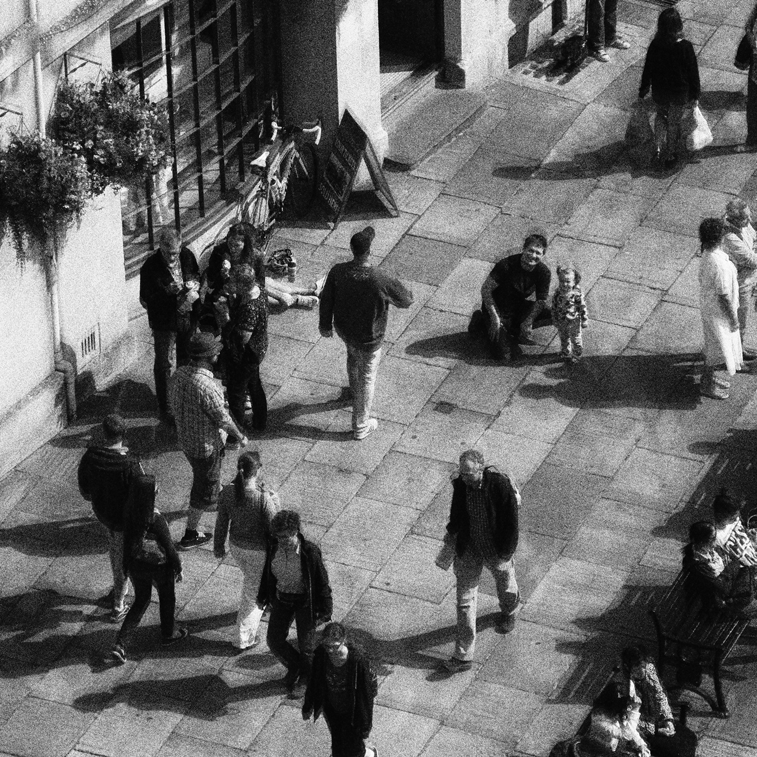 Муха в янтаре. Sveta Kaverina