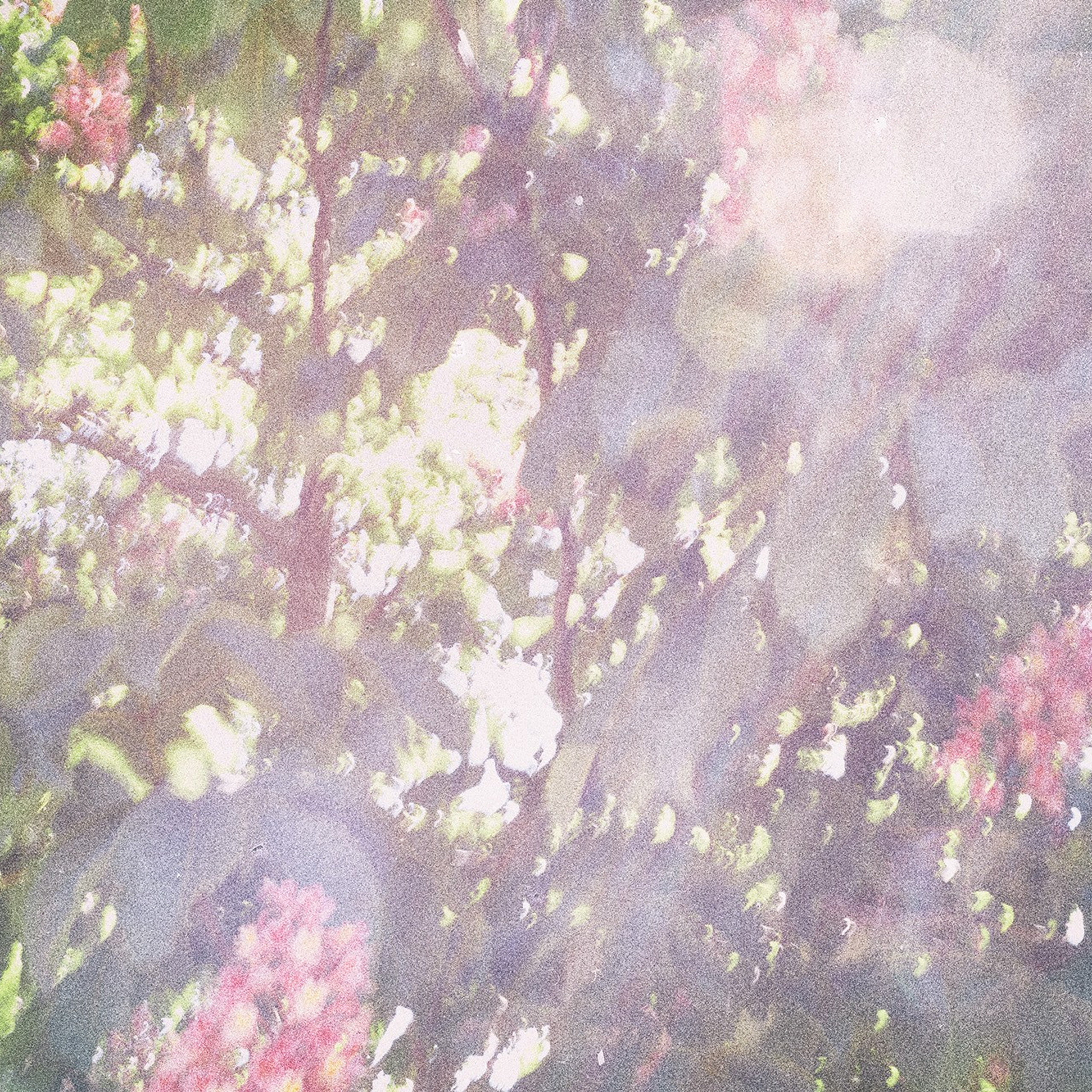 The Garden of Earthly Delights. Sveta Kaverina