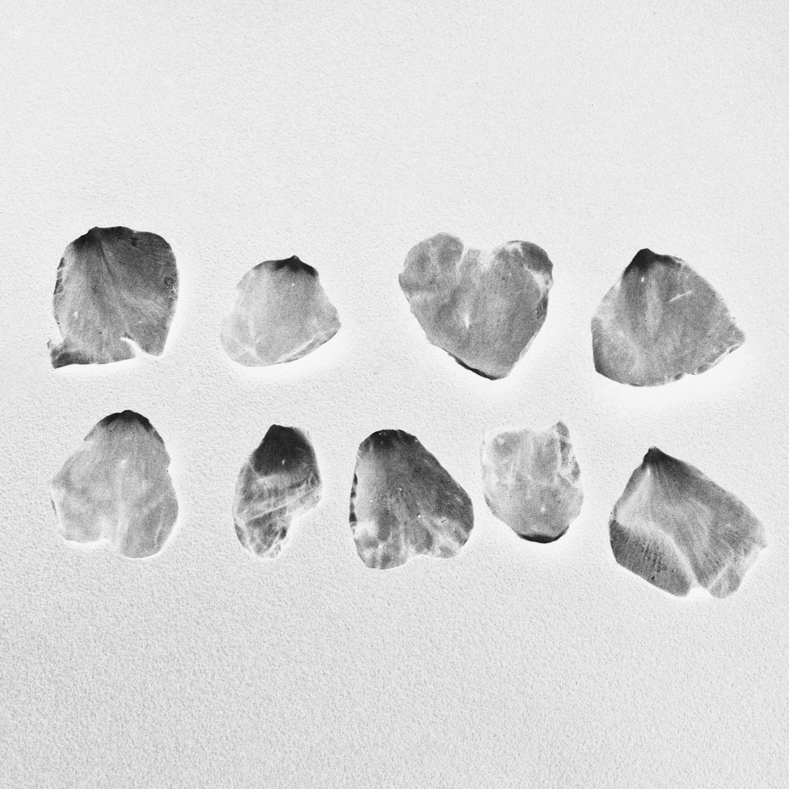 The Garden of Earthly Delights. Sveta Kaverina