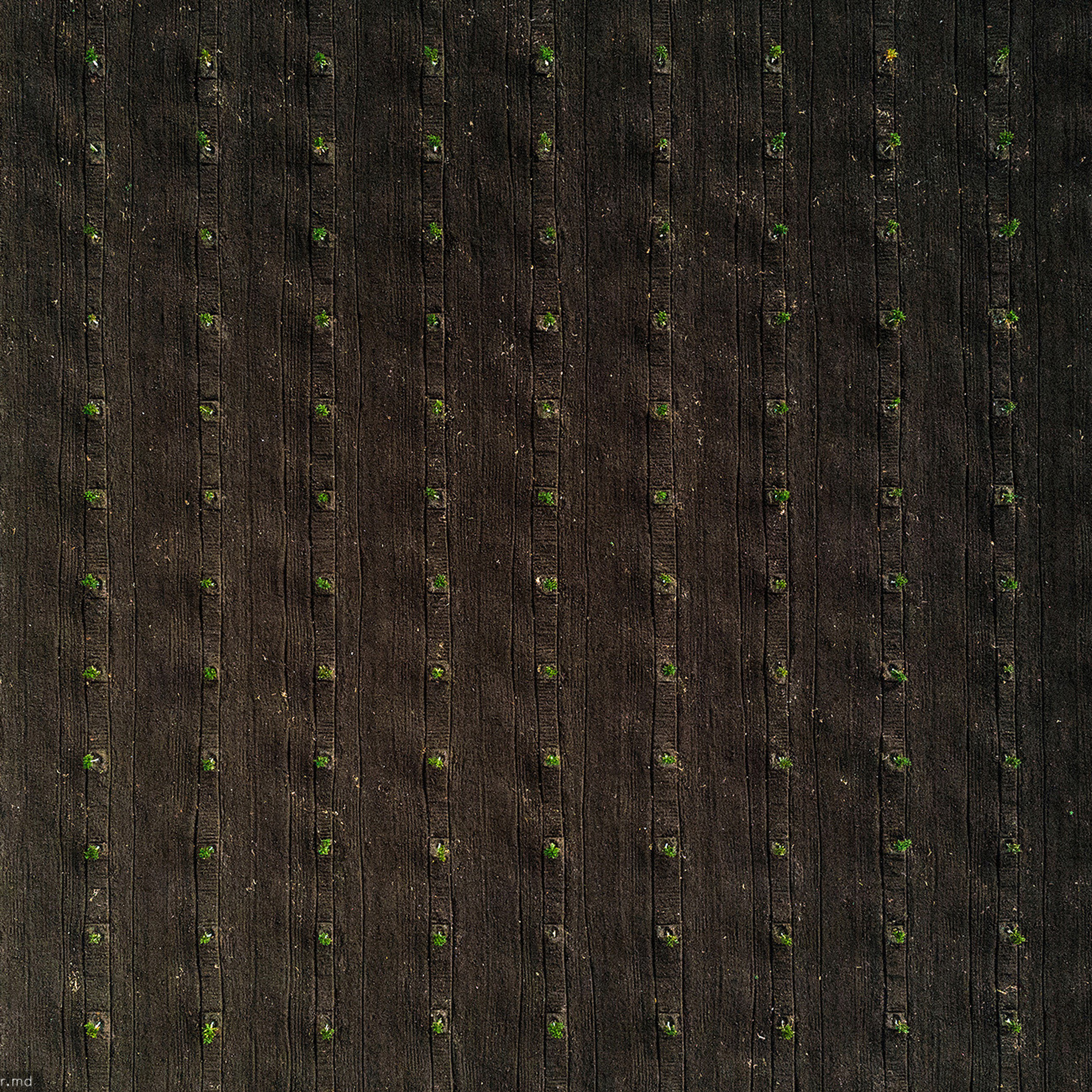 Индивидуальный курс управления дроном — Кишинев, Молдова