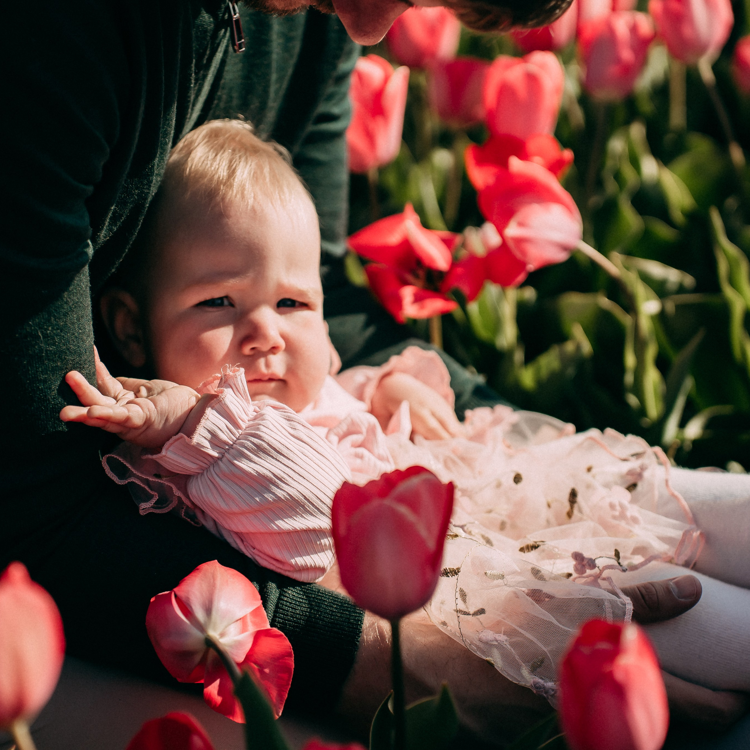 Families. Photographer Gouda, Rotterdam, Amsterdam, the Netherlands