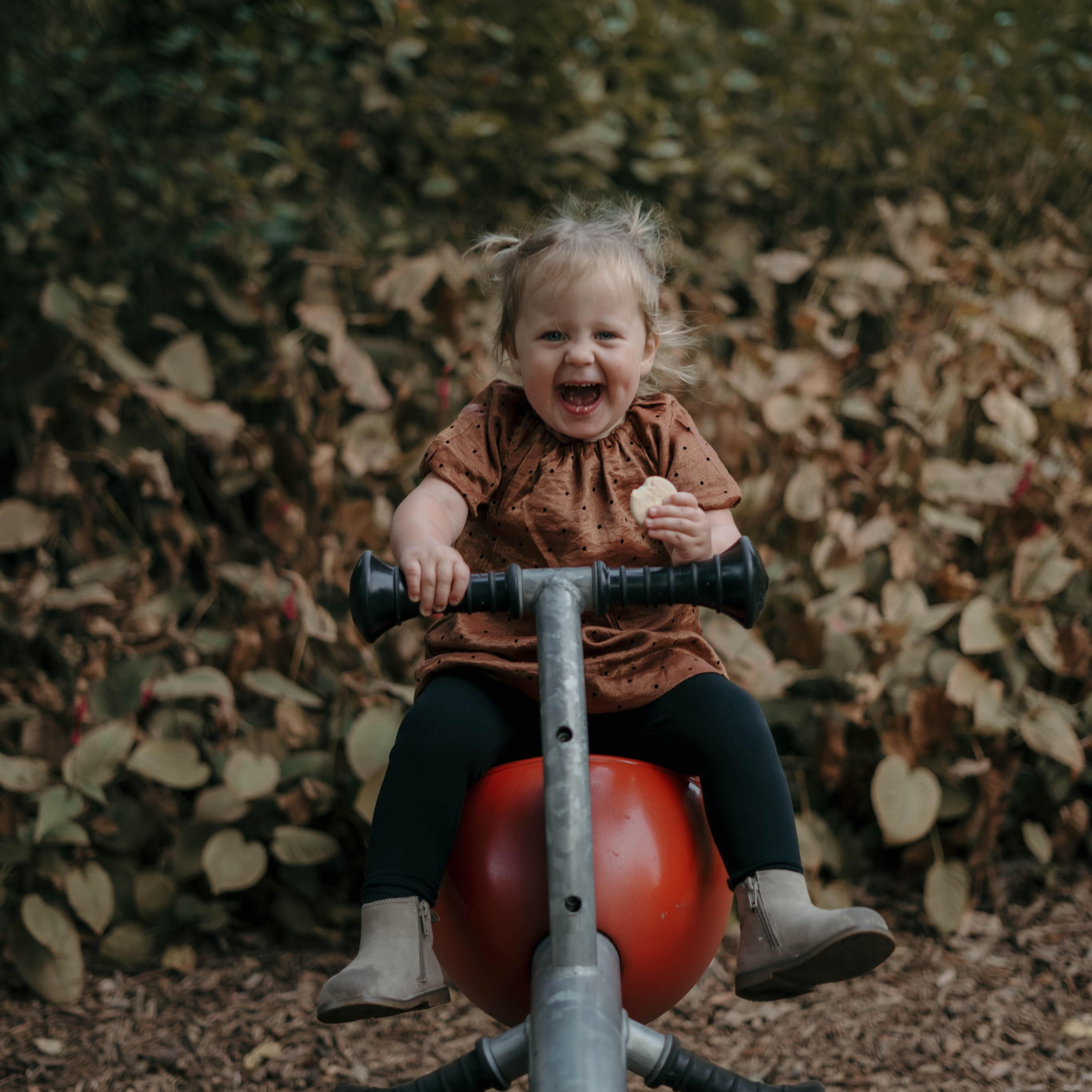 Families. Photographer Gouda, Rotterdam, Amsterdam, the Netherlands
