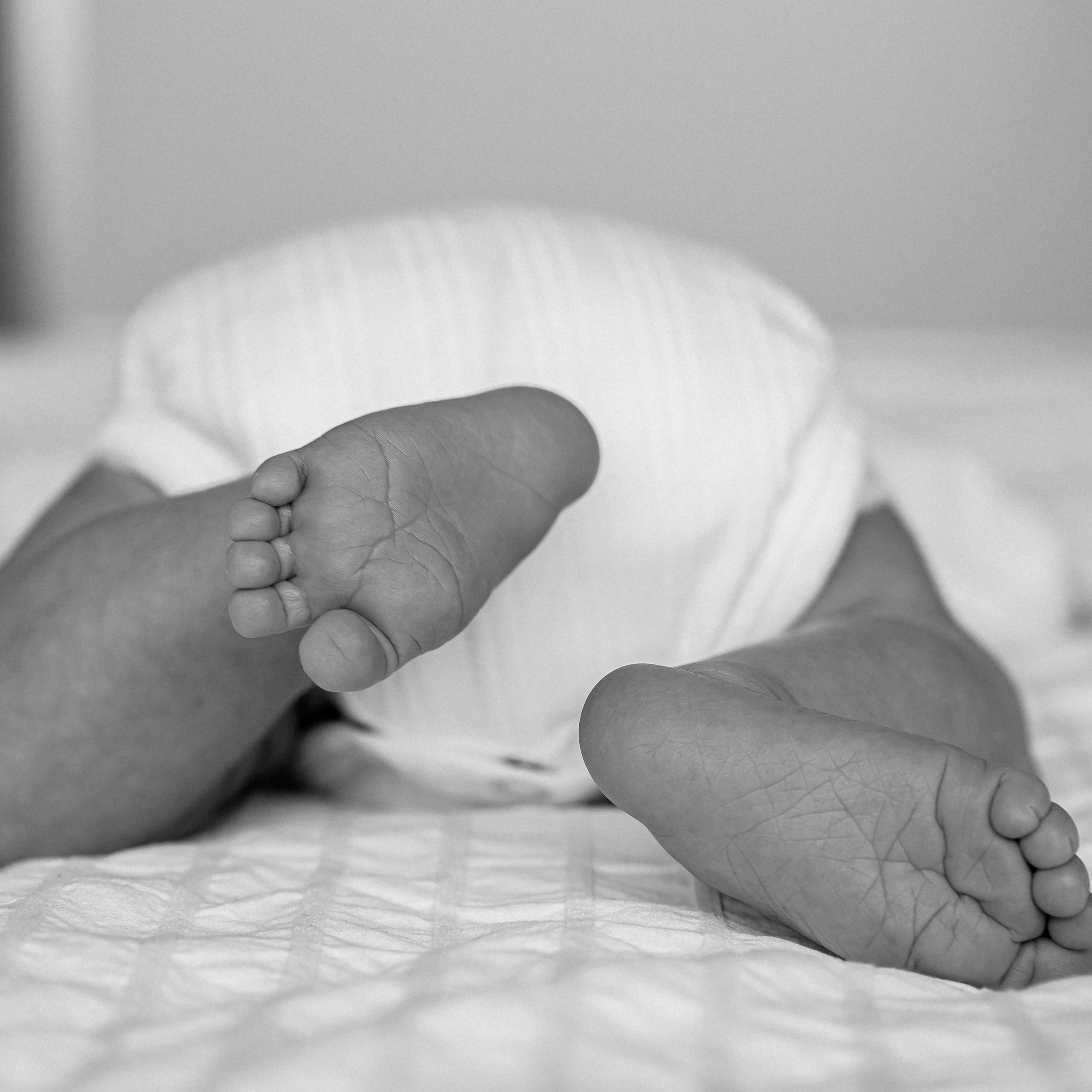 Families. Photographer Gouda, Rotterdam, Amsterdam, the Netherlands