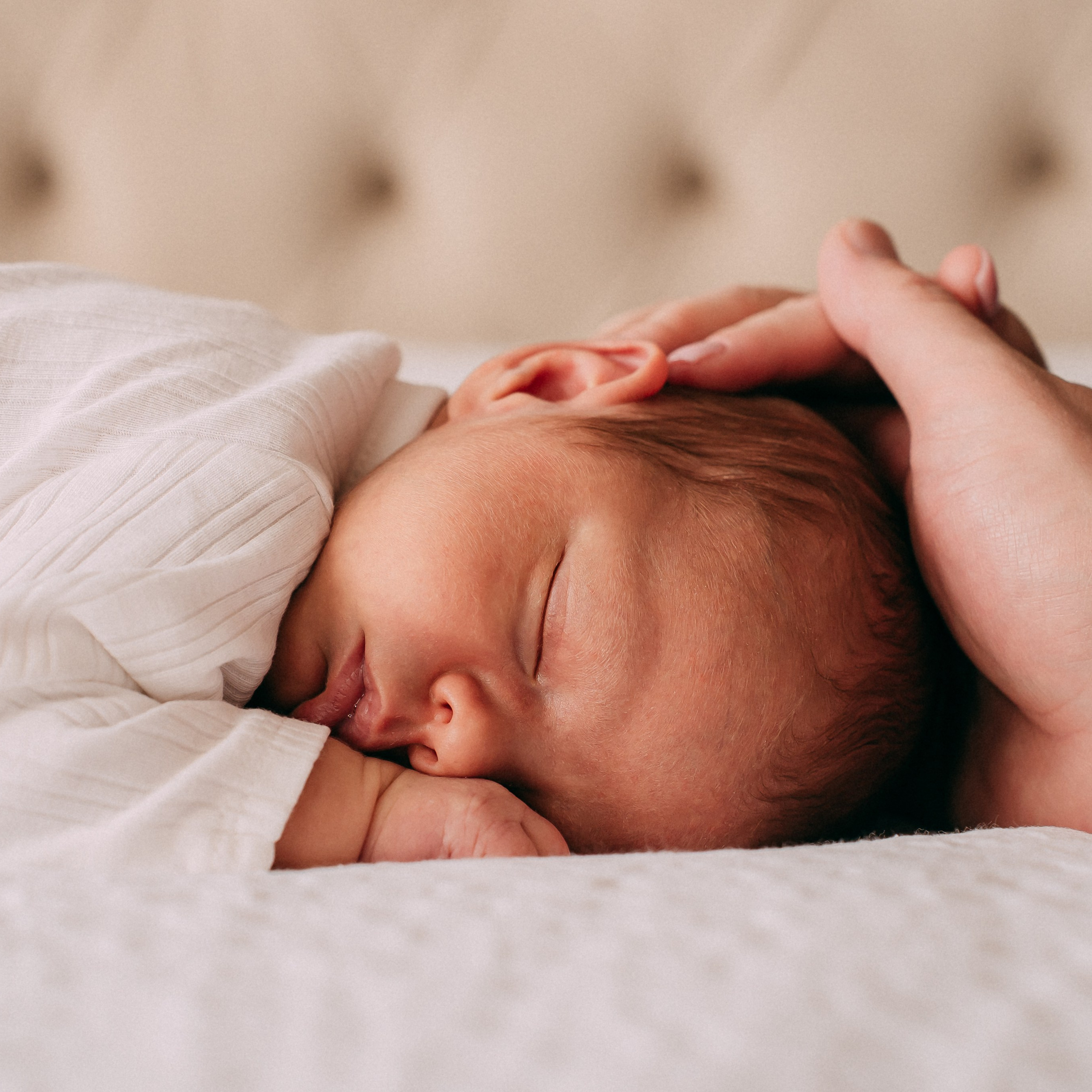 Families. Photographer Gouda, Rotterdam, Amsterdam, the Netherlands