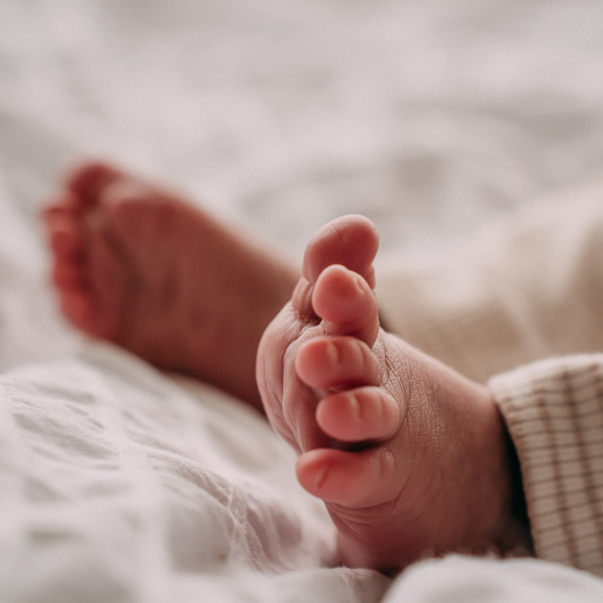 Families. Photographer Gouda, Rotterdam, Amsterdam, the Netherlands