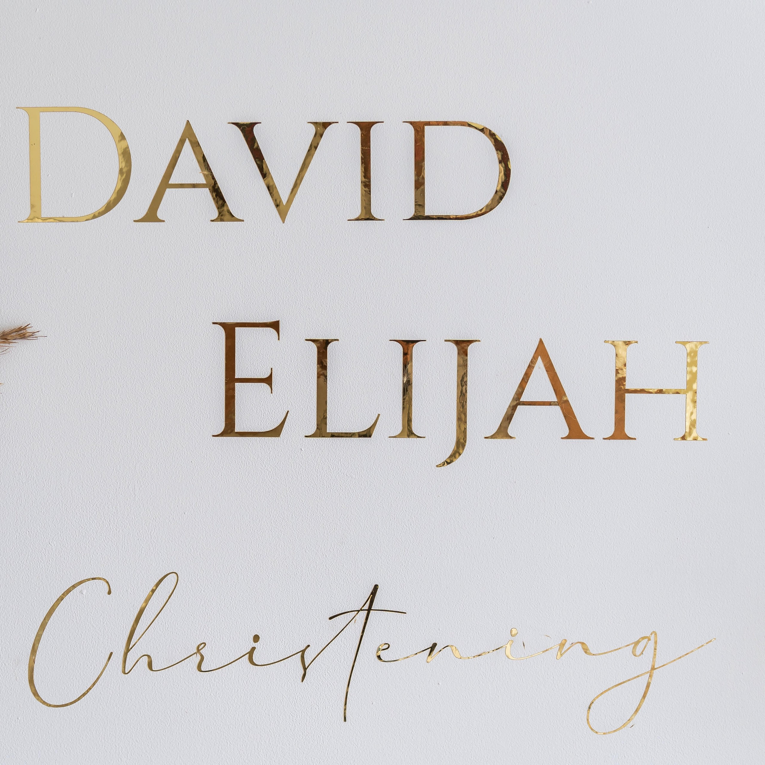 DAVID-ELIJAH