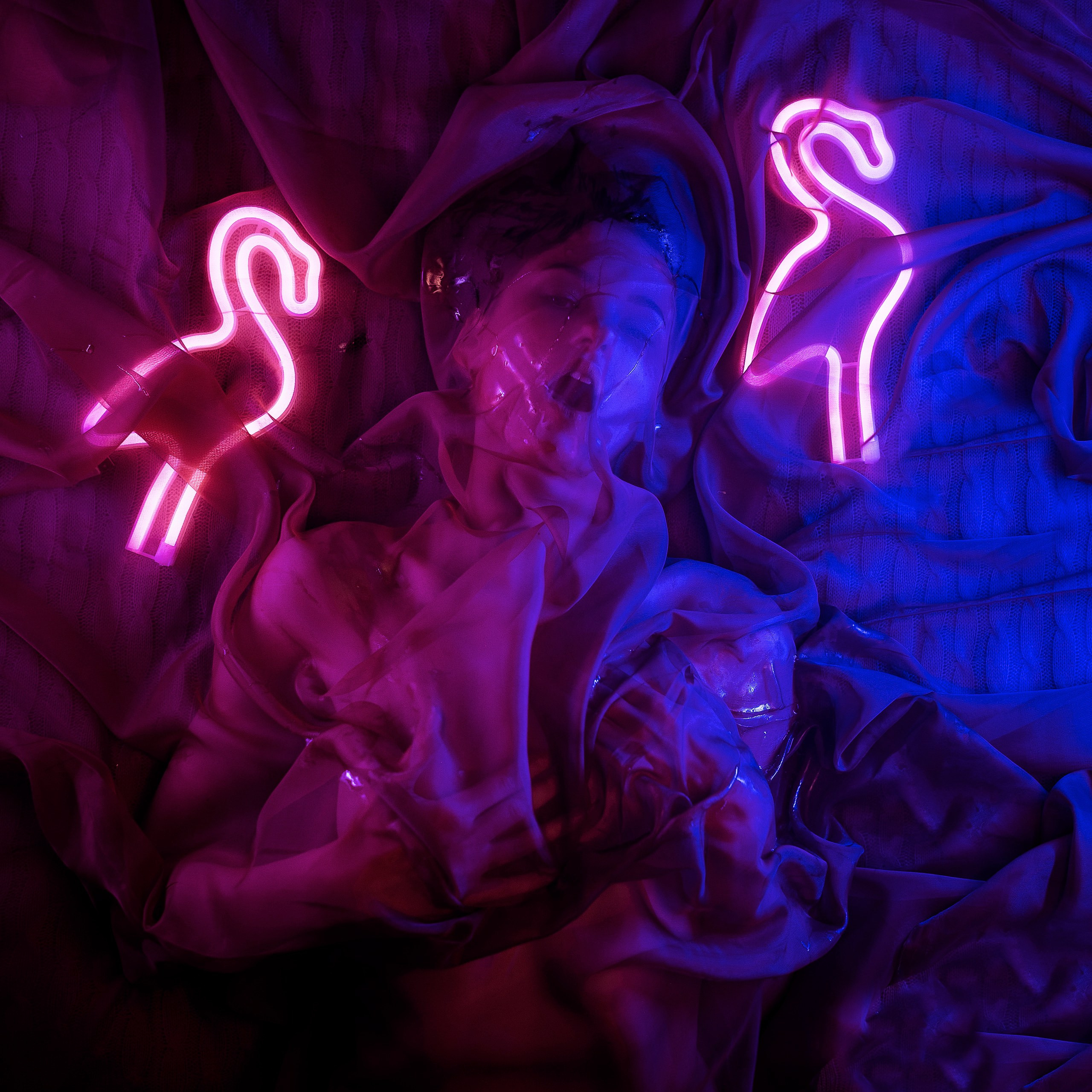 Advertising. Il fotografo Dmitrii Shmatov