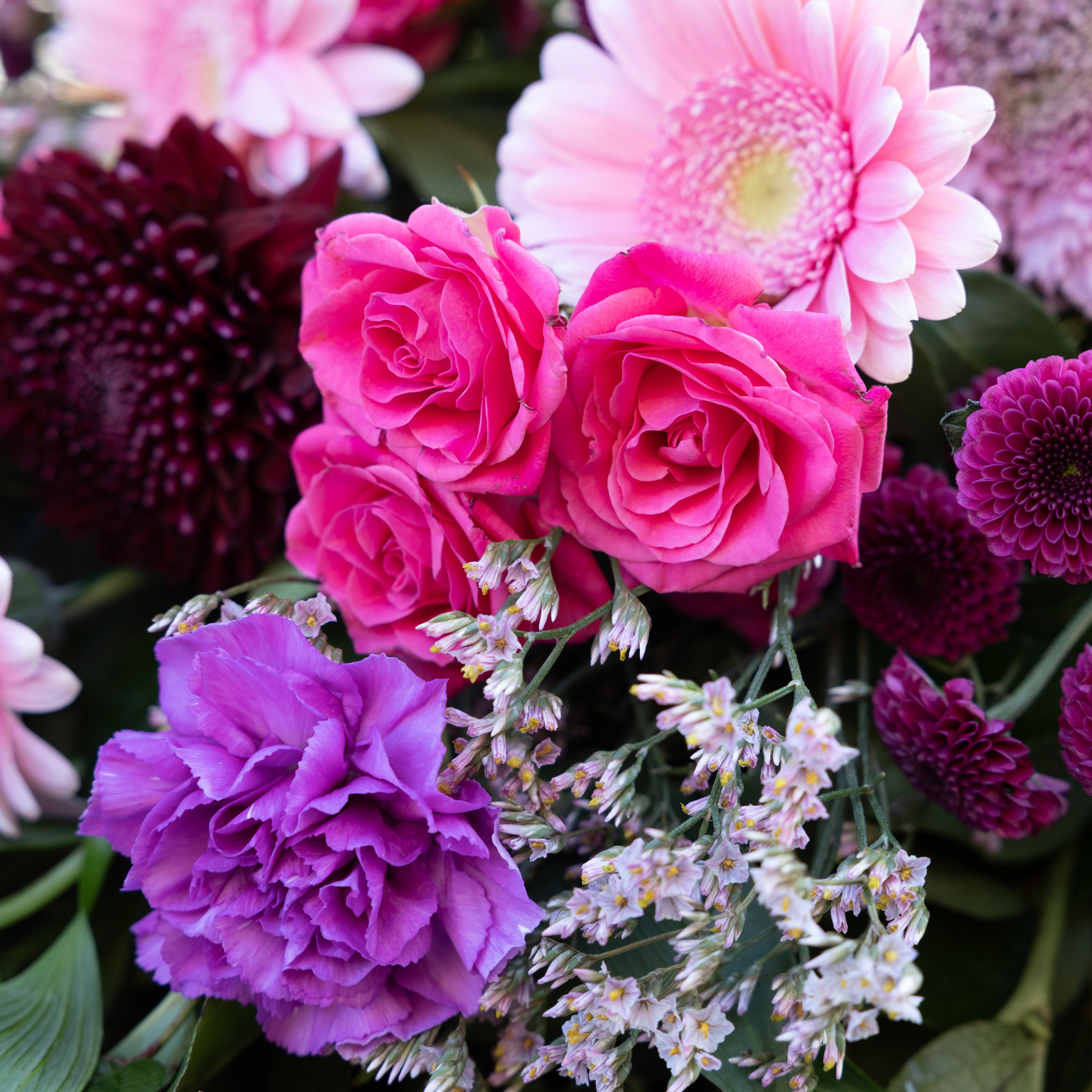 Tulipaner 4 råd om passning. Akropolis Blomster | Din døgn blomsterbutik i Aarhus